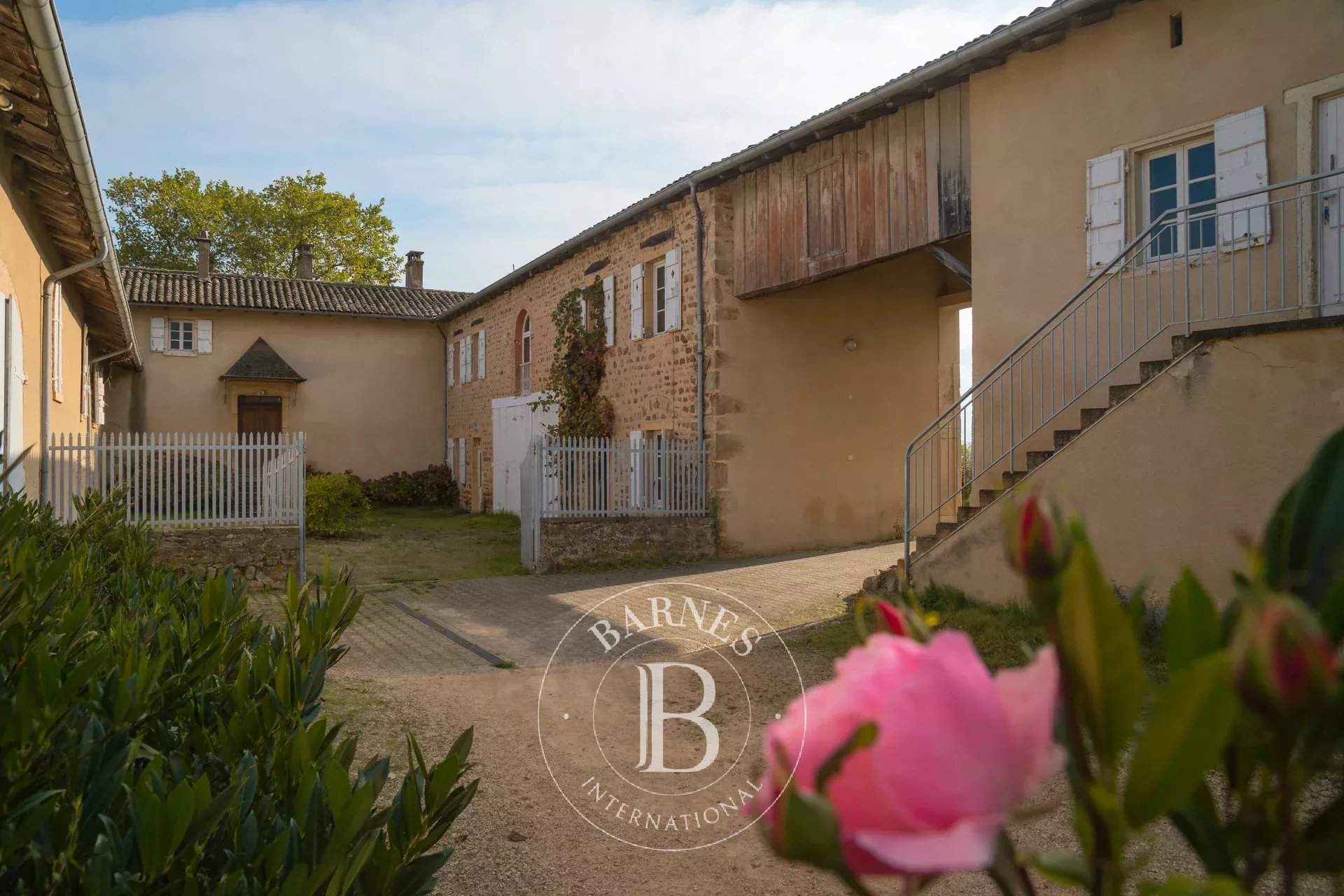 Villié-Morgon  - Vineyard property  - picture 3