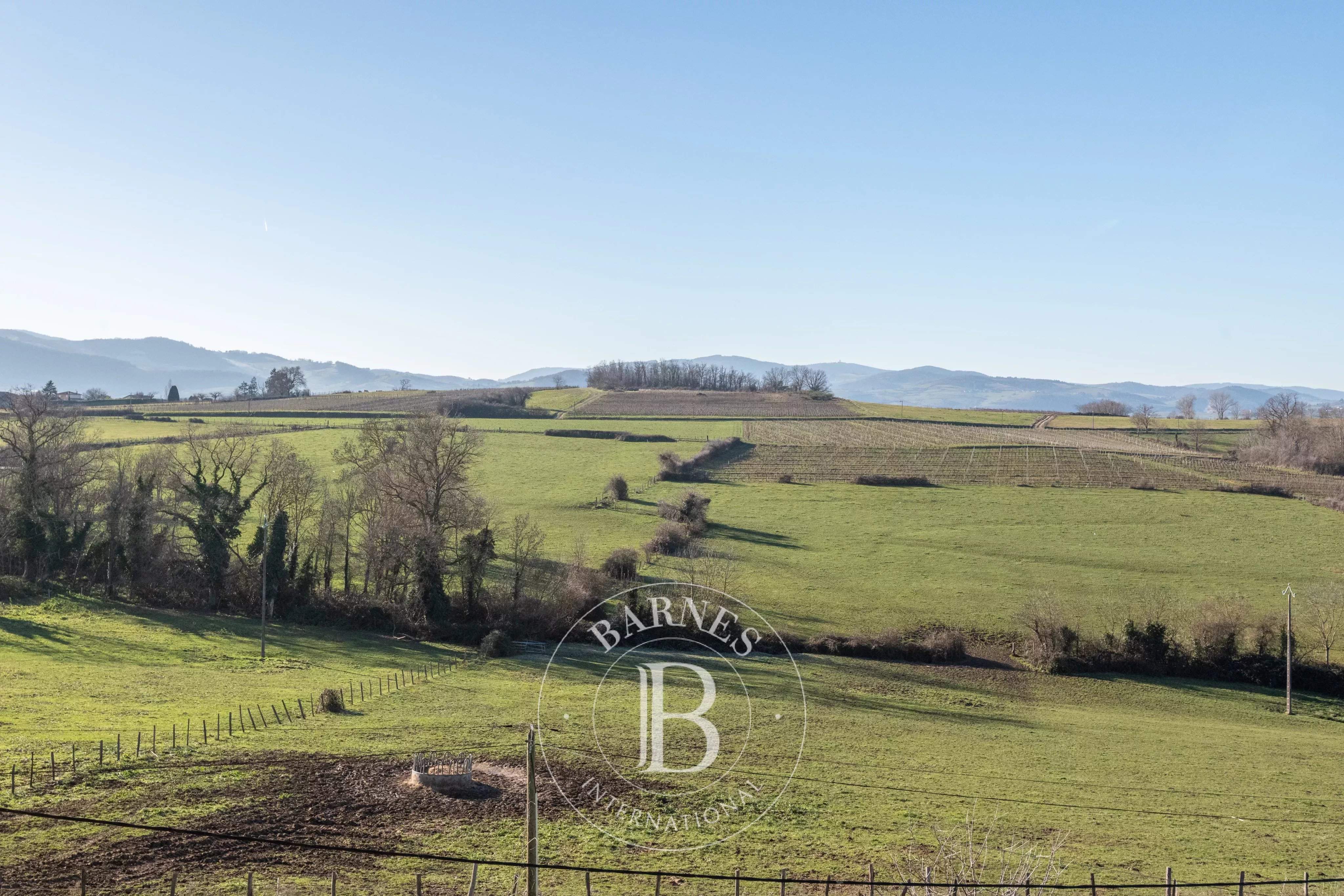 Sarcey  - Maison 7 Pi&egrave;ces 4 Chambres - picture 4