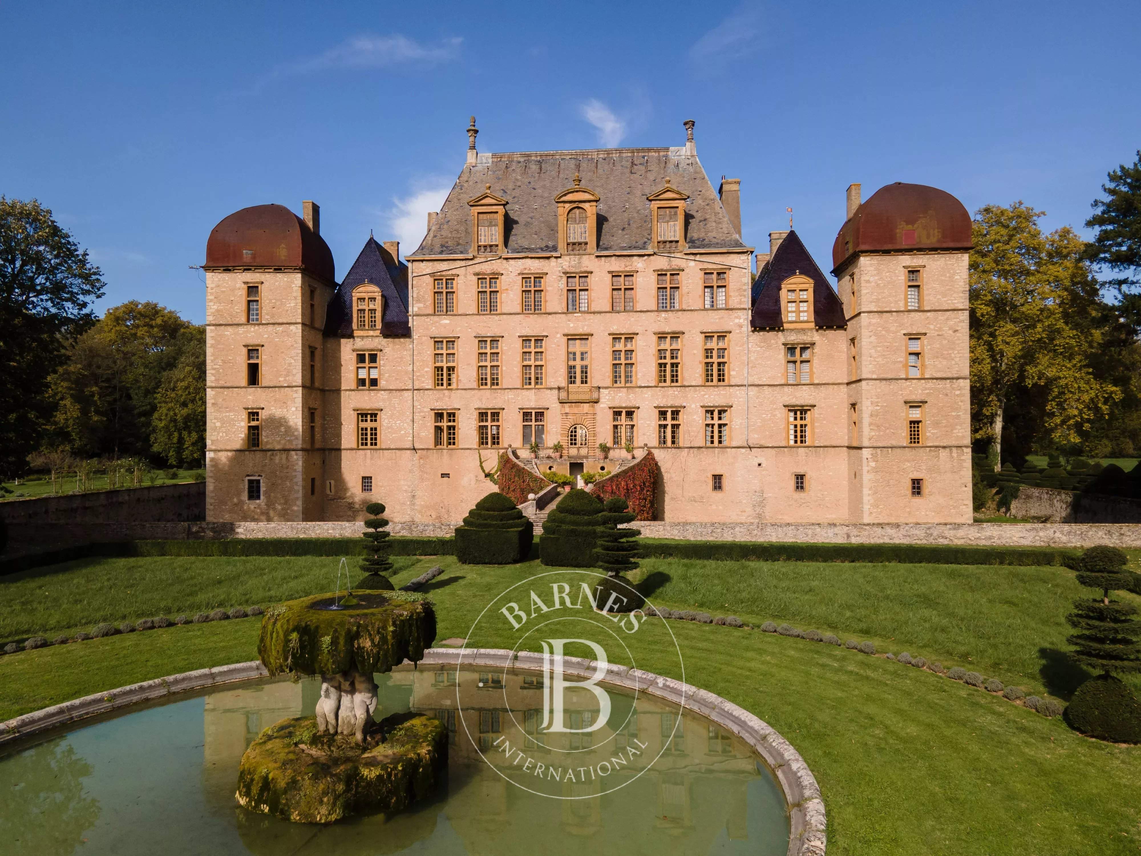 Fareins  - Château 30 Pi&egrave;ces 8 Chambres - picture 18