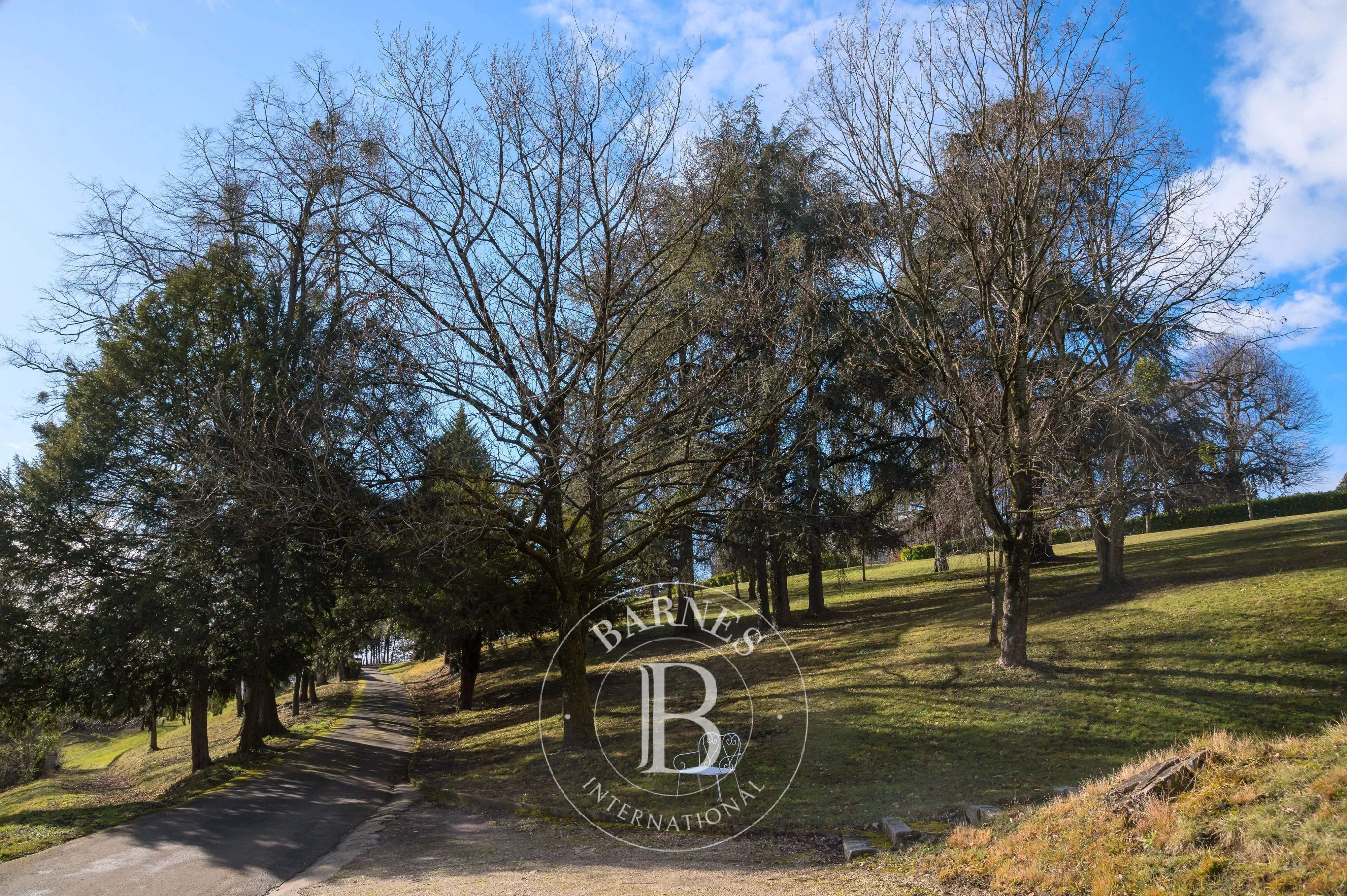 Écully  - Propriété 18 Pi&egrave;ces 14 Chambres - picture 12