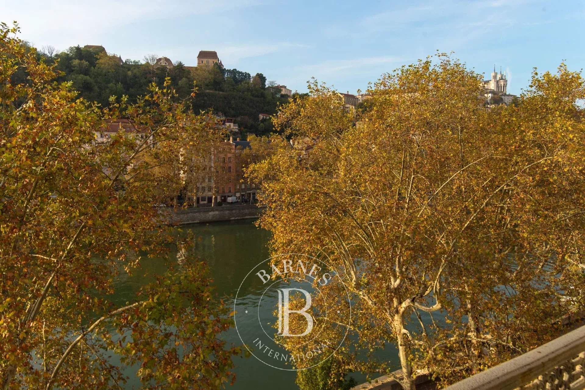 Lyon  - Apartment 4 Bedrooms - picture 2