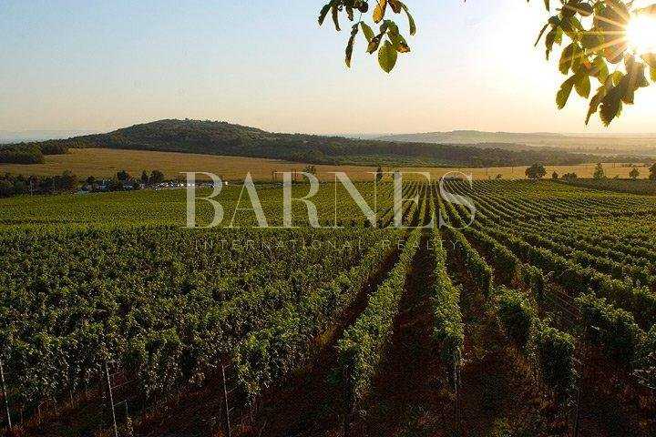 Villány  - Exploitation agricole 3 Pièces