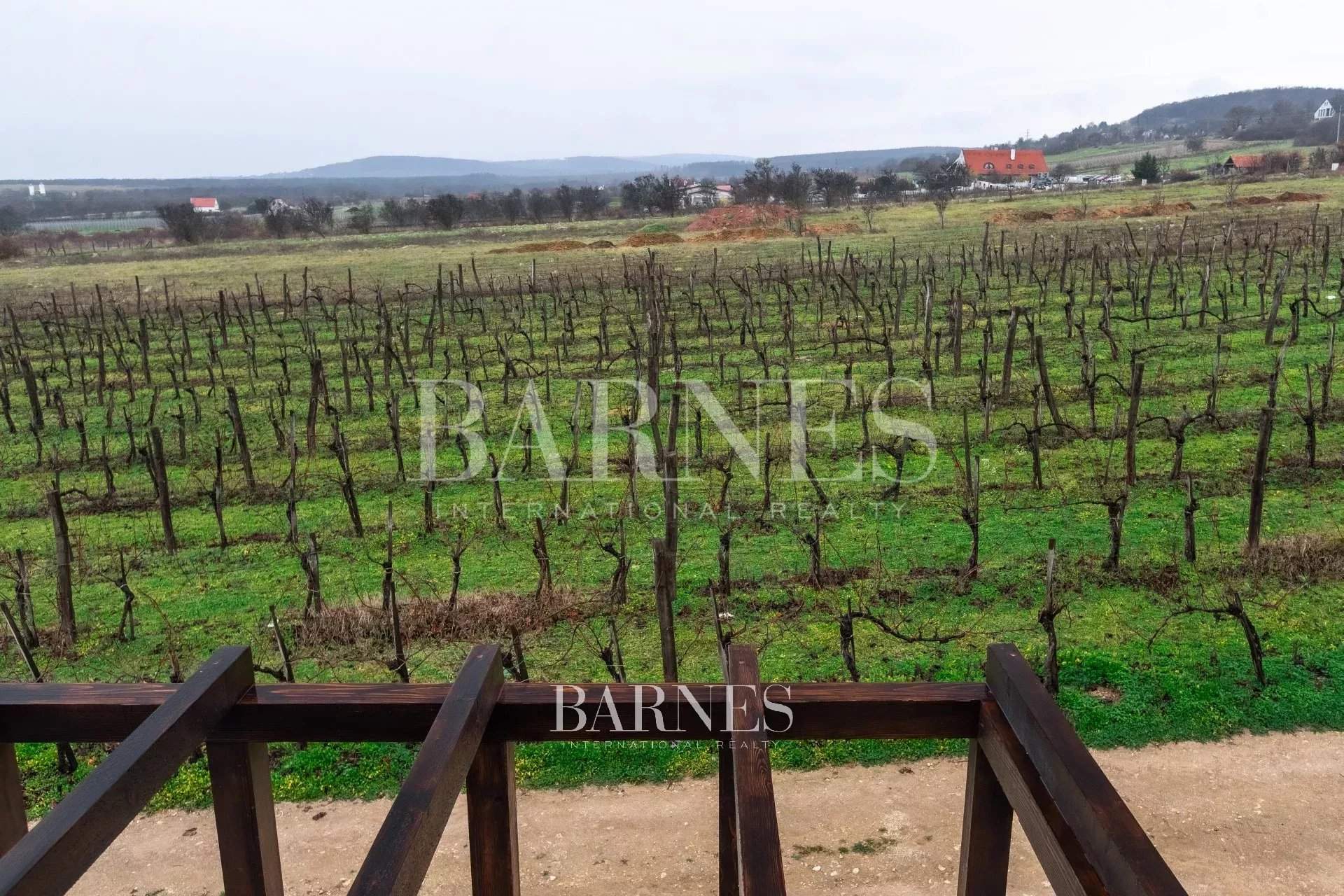 Balatonfüred  - Maison 12 Pi&egrave;ces 7 Chambres - picture 13