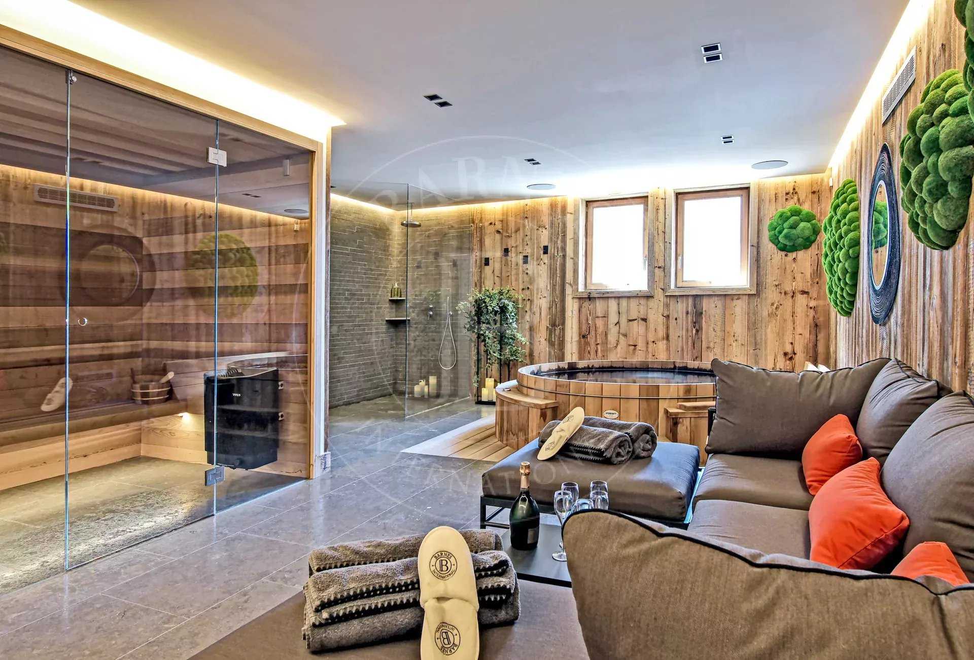 Les Belleville  - Chalet 