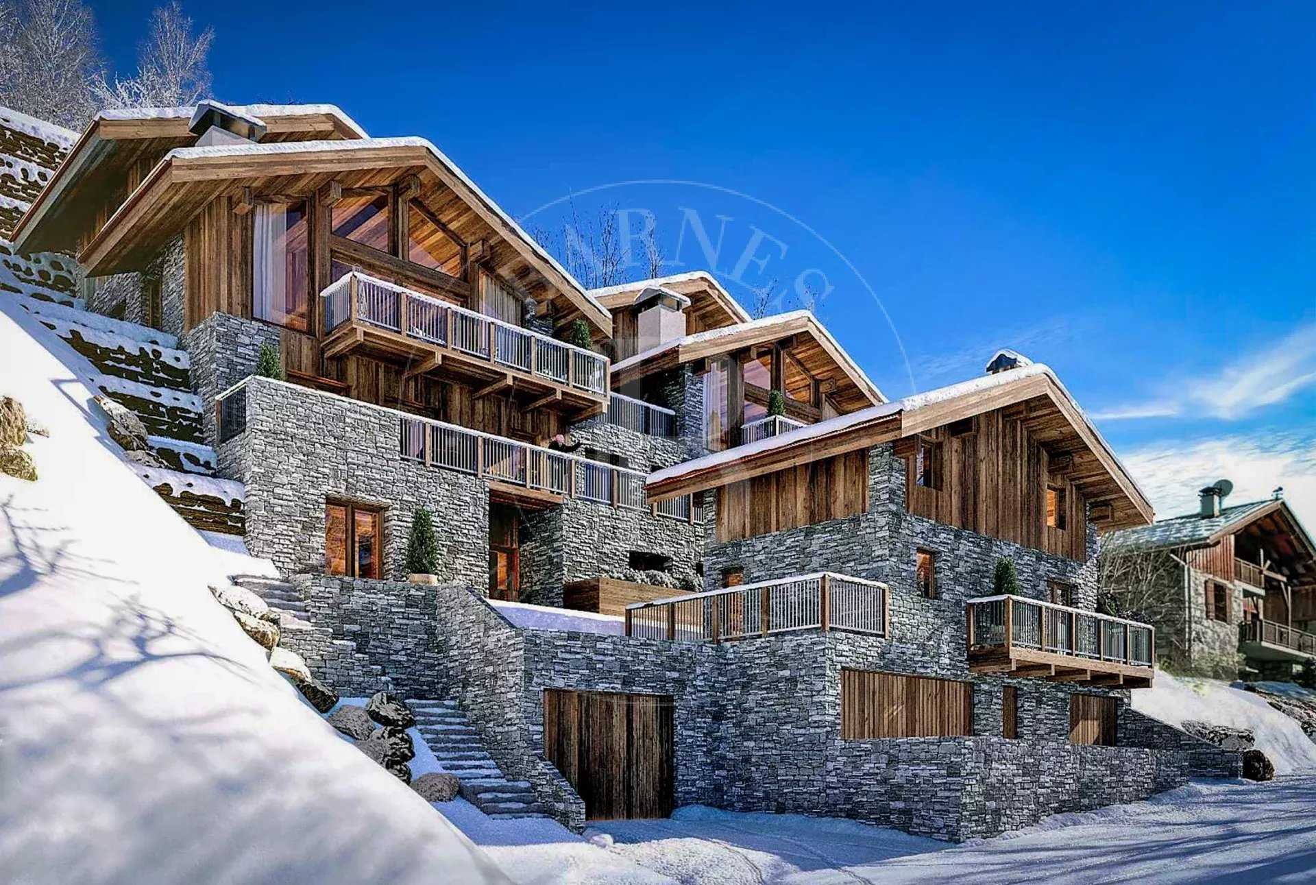 Chalet Les Belleville  -  ref 85657437 (picture 1)