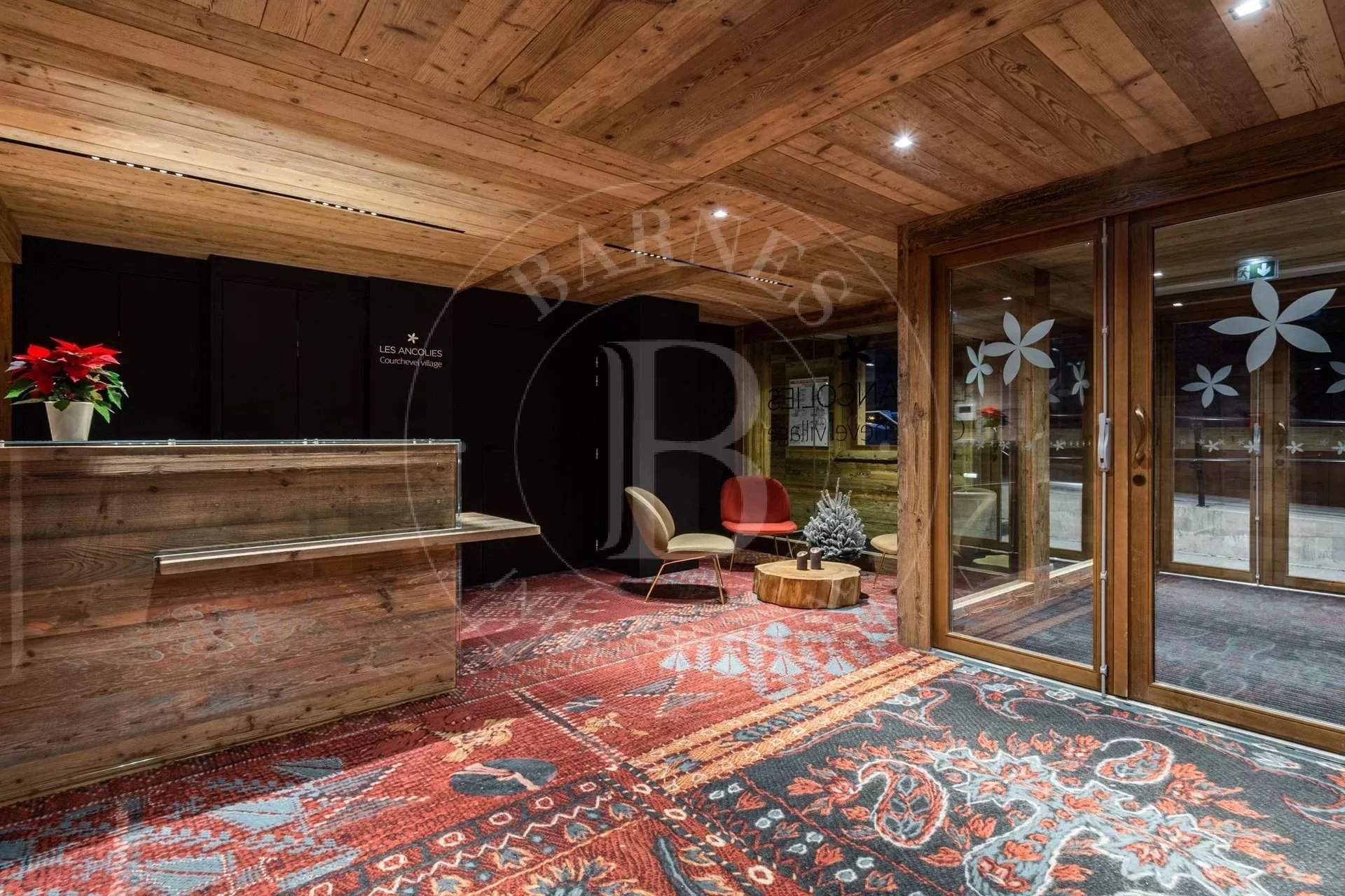 Les Ancolies S11 picture 7