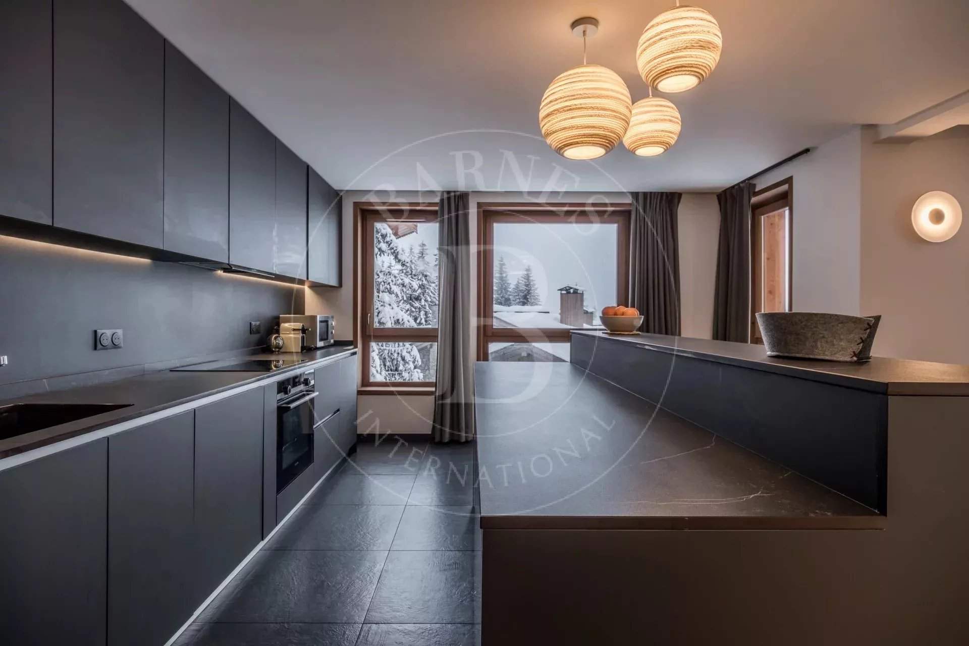 Ancolies S24 picture 4