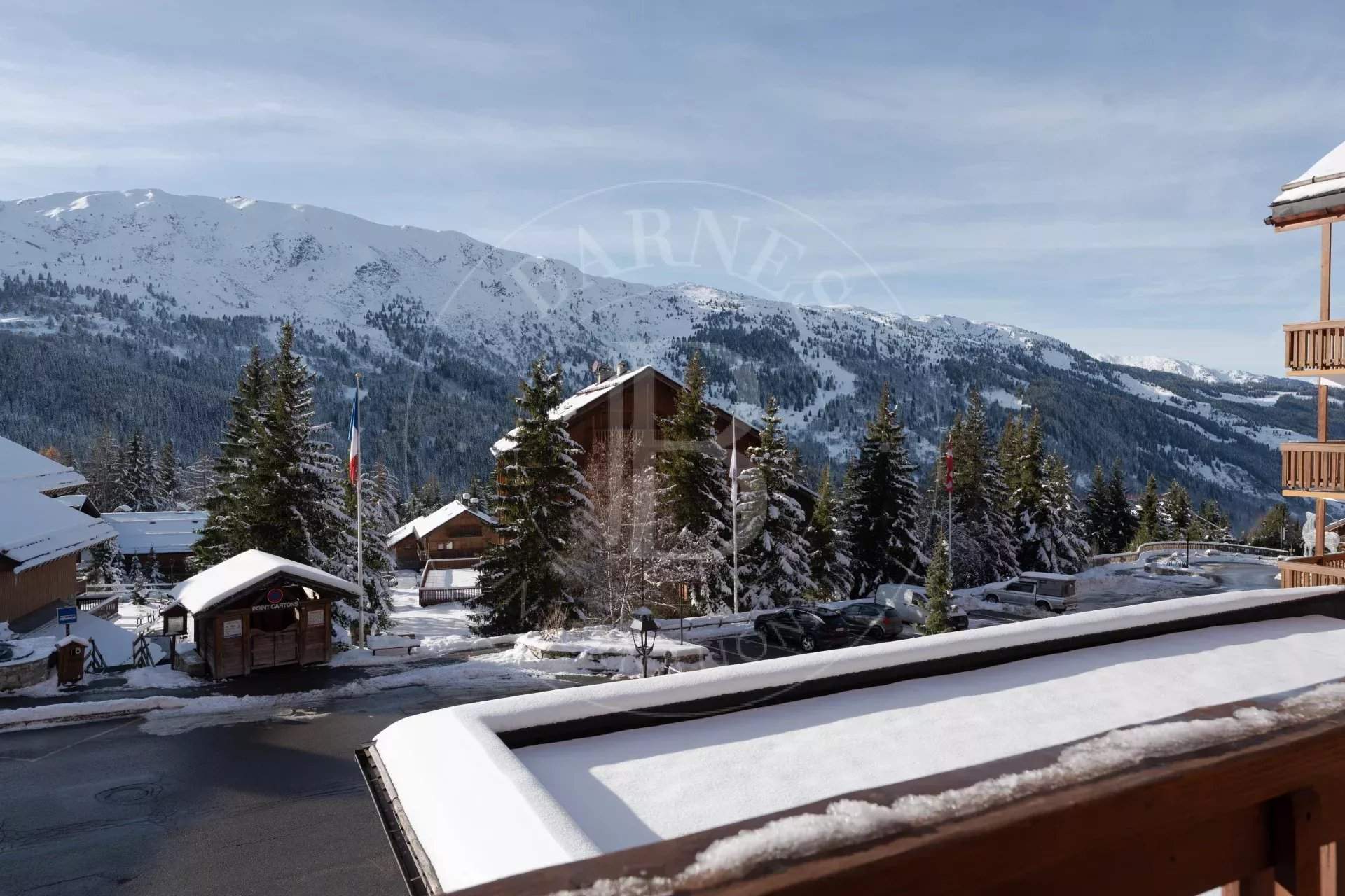 CarlinesD4 picture 9