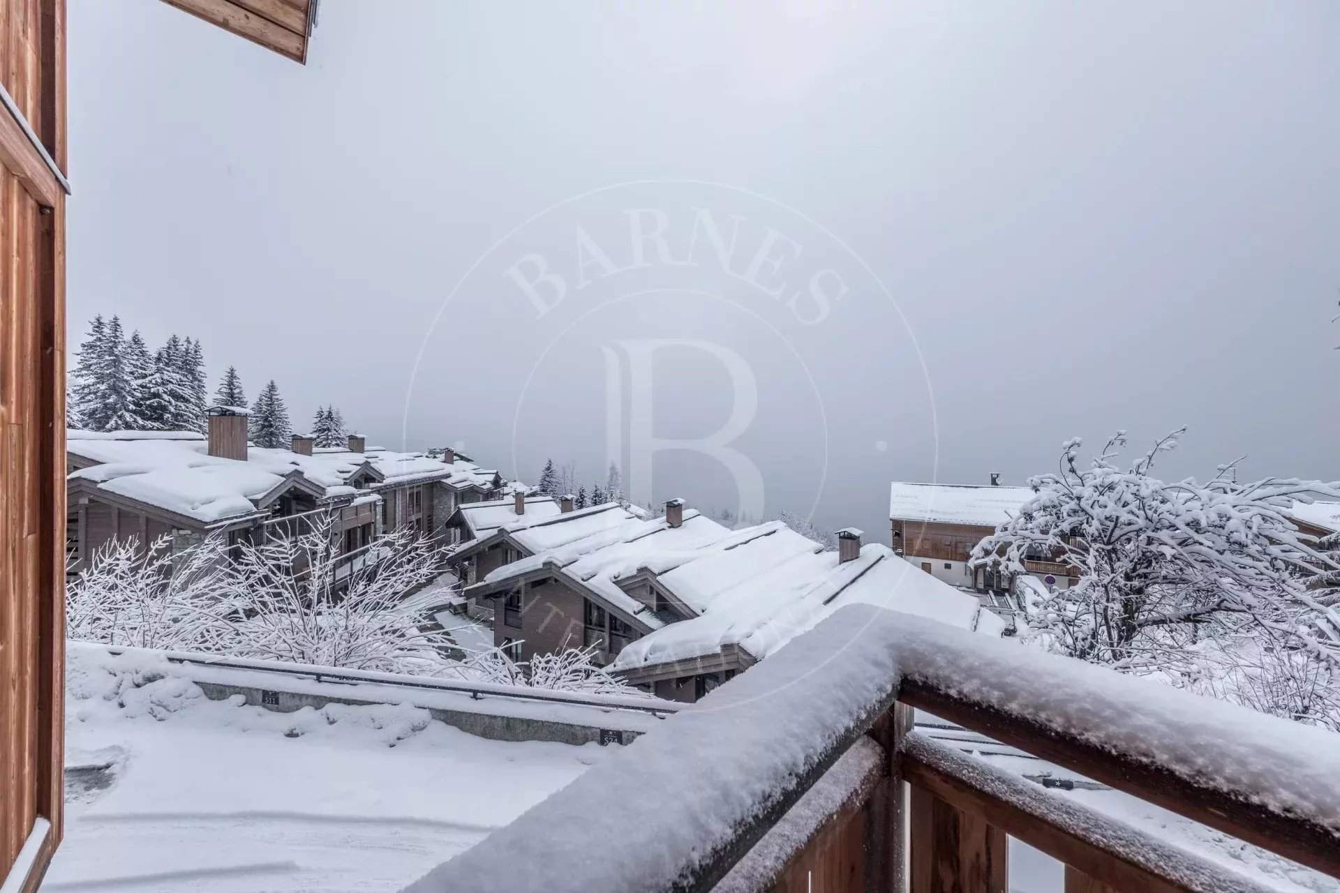 Ancolies S24 picture 14