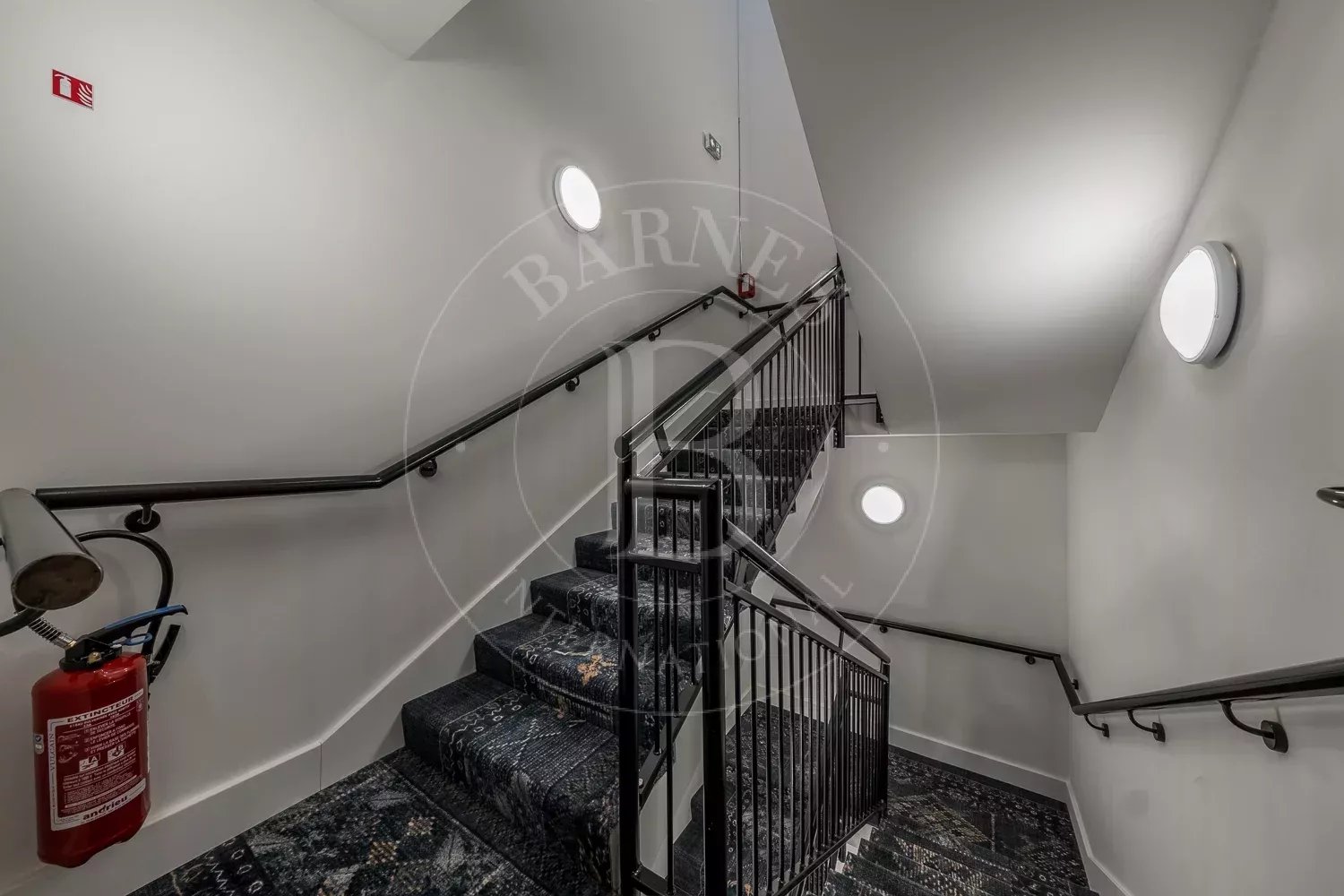 Ancolies S34 picture 12