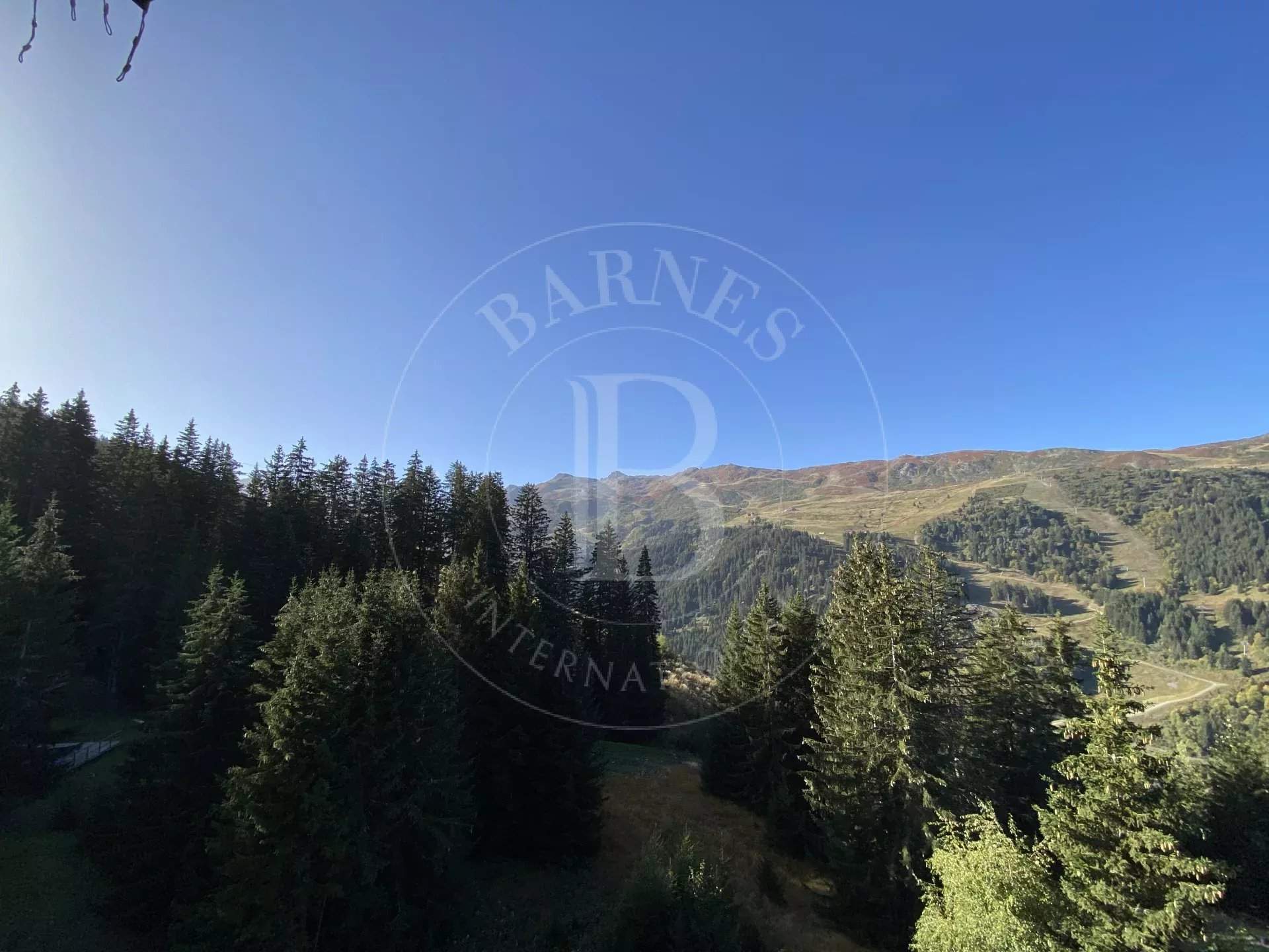 Méribel  - Apartment 2 Bedrooms - picture 12