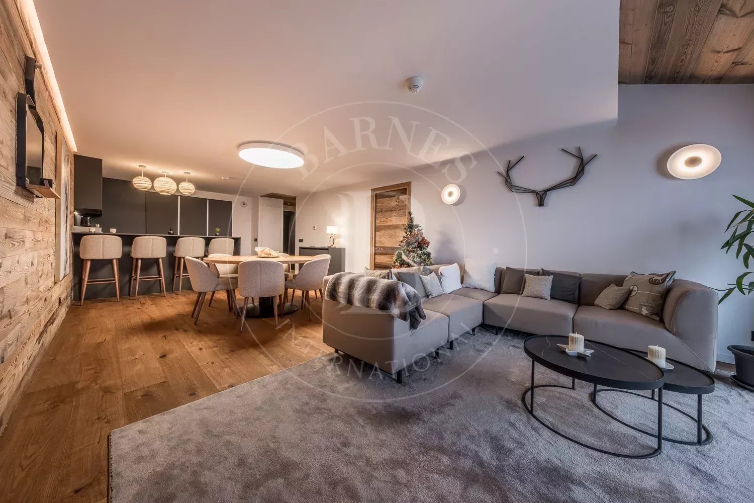 Ancolies S34 picture 4