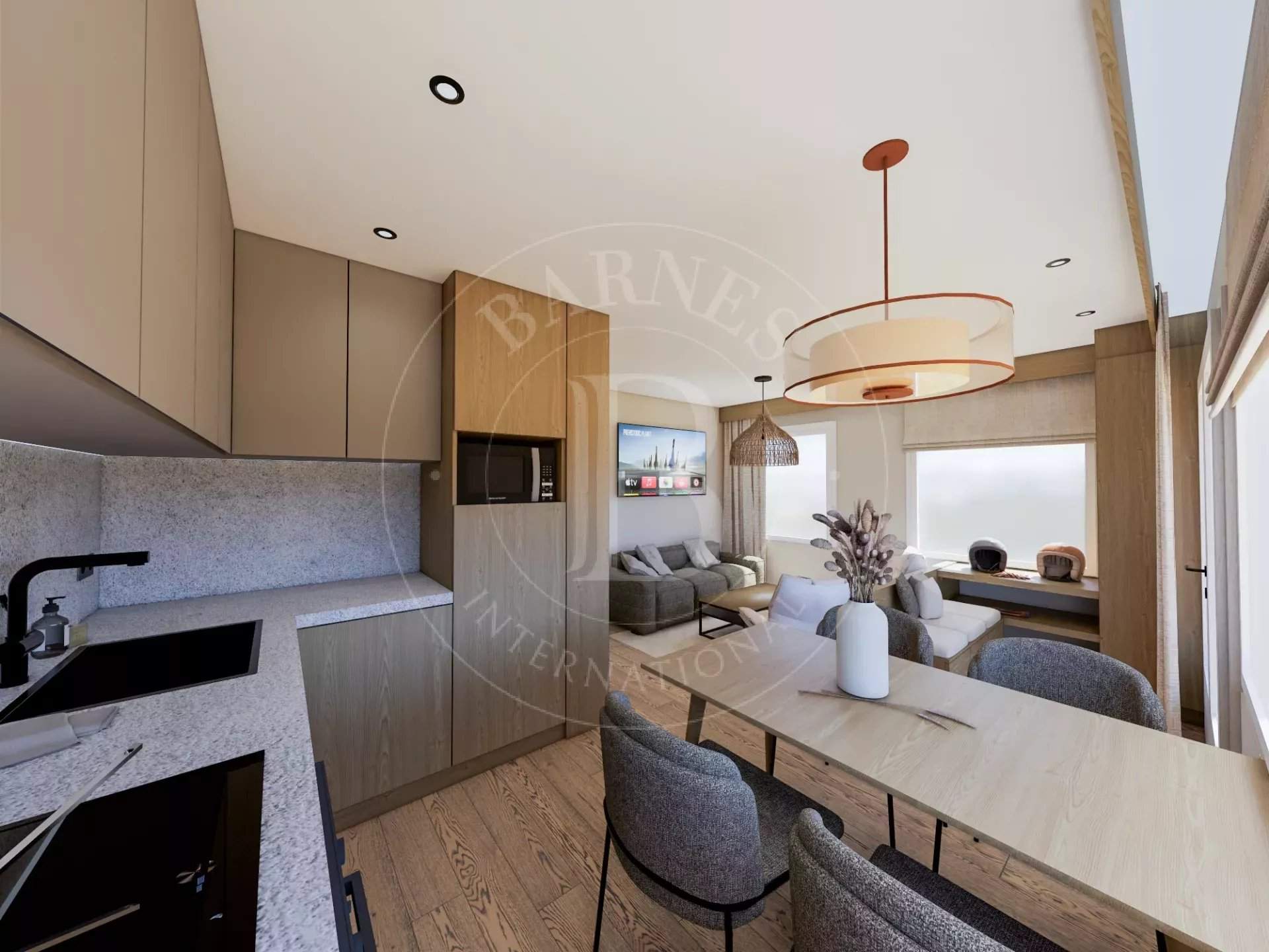 VANOISE 11 picture 2