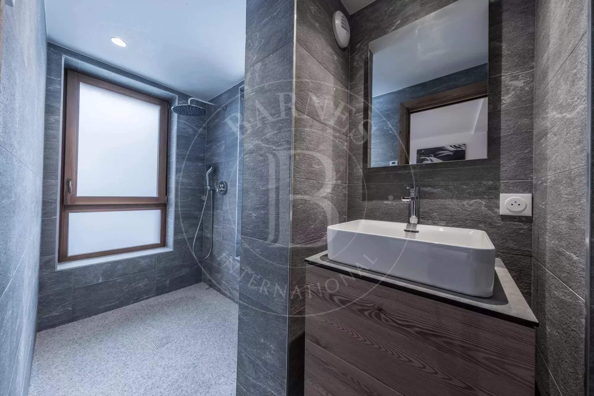 Ancolies S24 picture 12