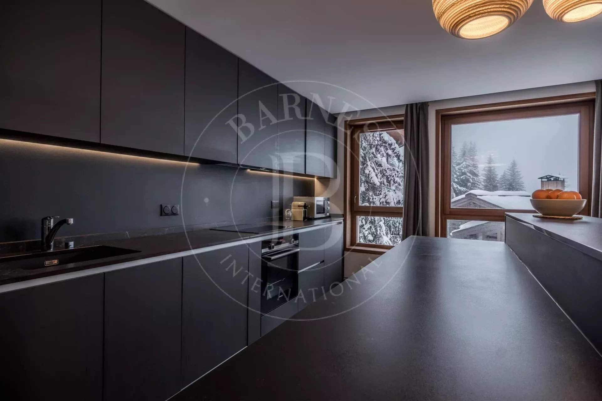 Ancolies S14 picture 7