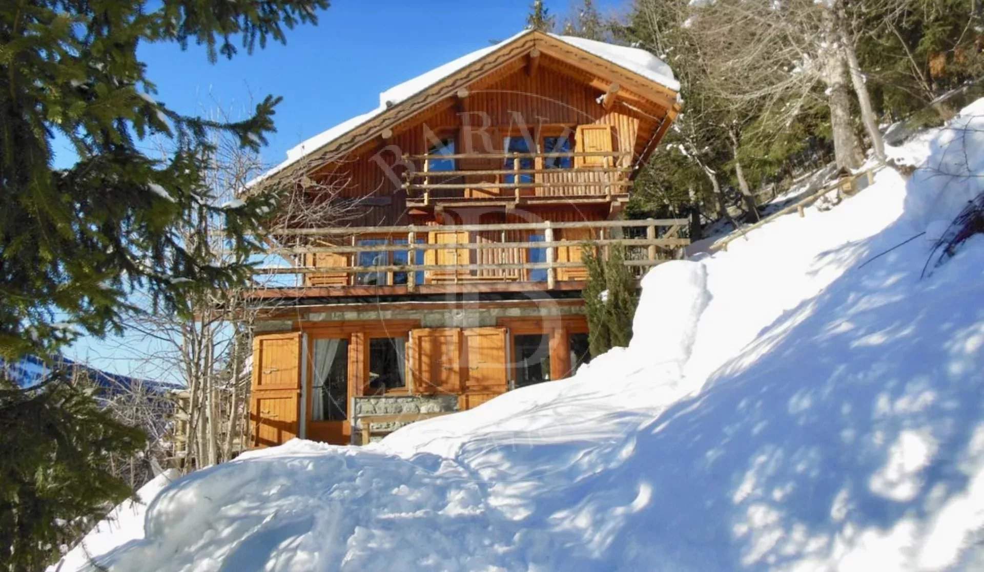 CHALET LA FORET picture 17