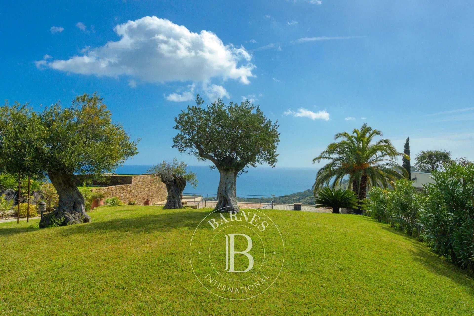 Villa Bormes-les-Mimosas  -  ref 84414371 (picture 2)