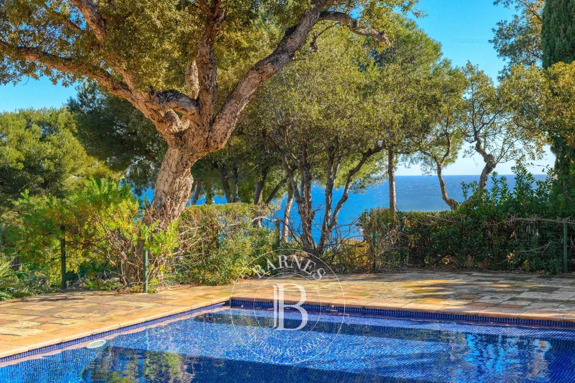 Propriété Bormes-les-Mimosas  -  ref 86680836 (picture 2)