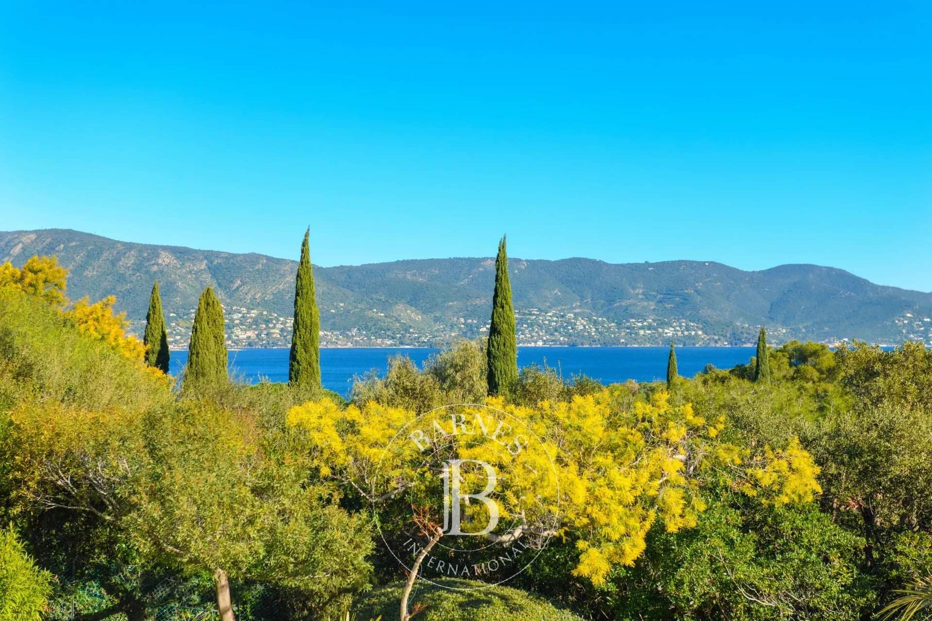 Bormes-les-Mimosas  - House  - picture 4