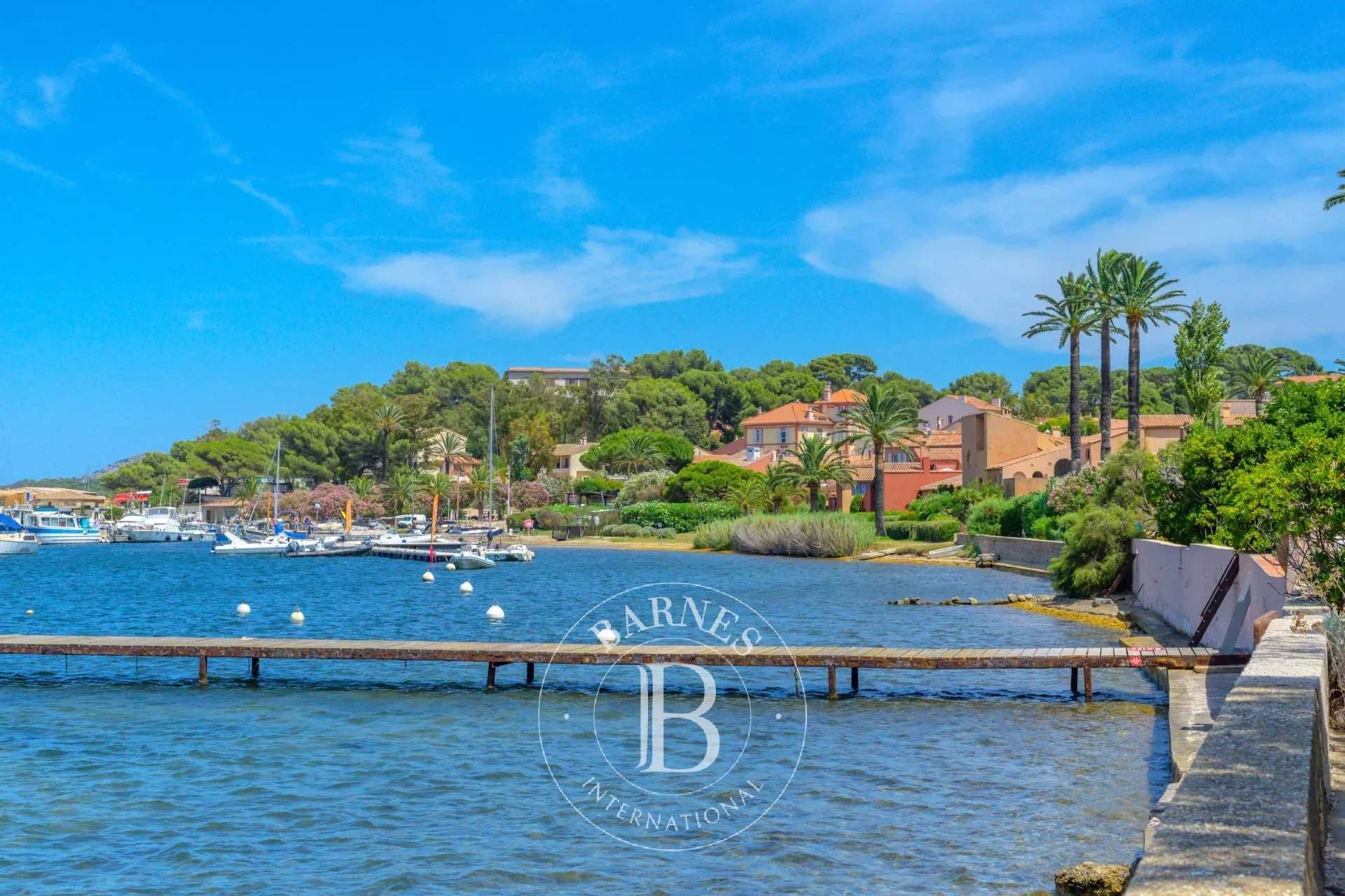 Porquerolles  - Appartement  - picture 3