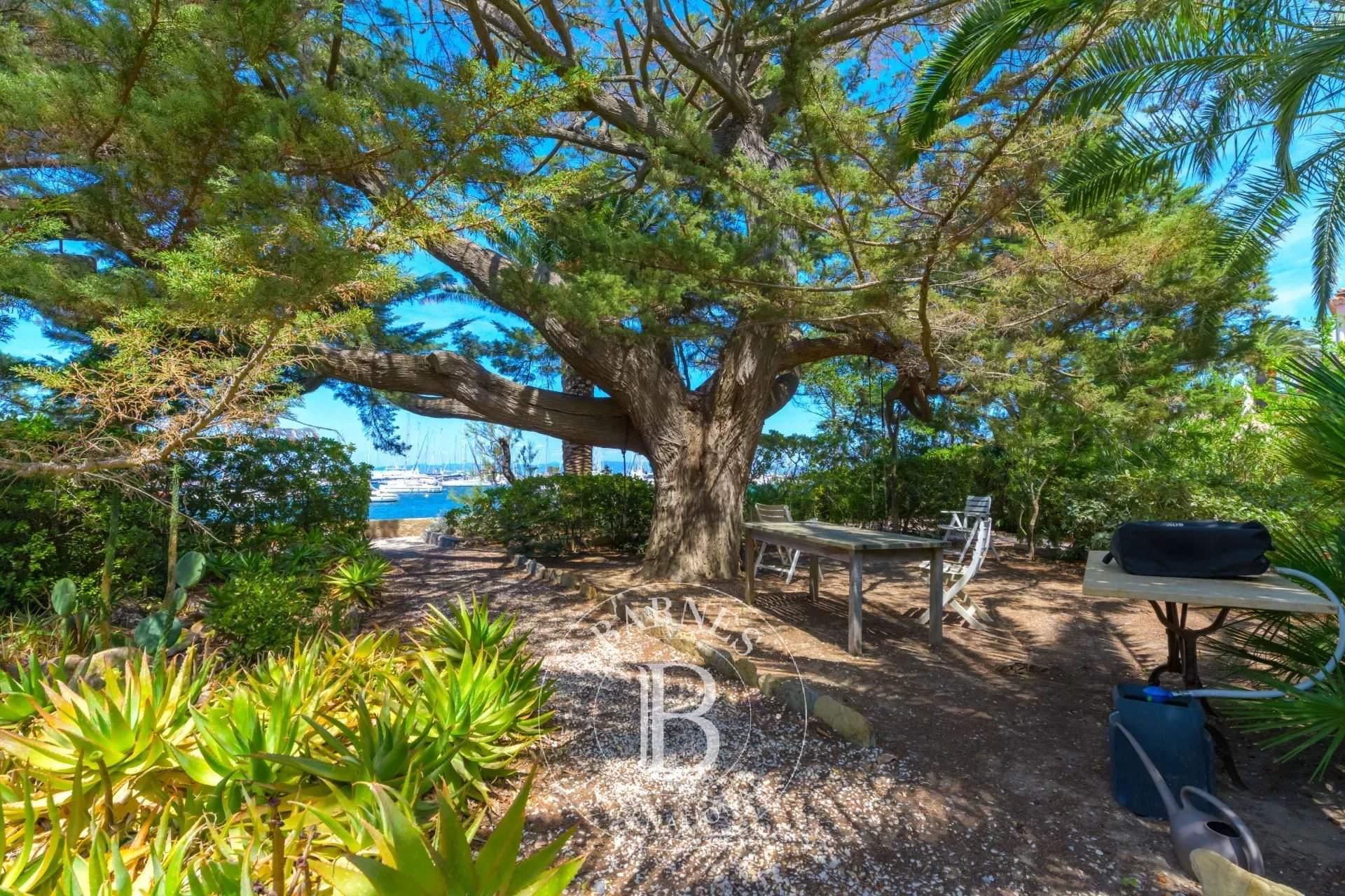 Porquerolles  - Appartement  - picture 11