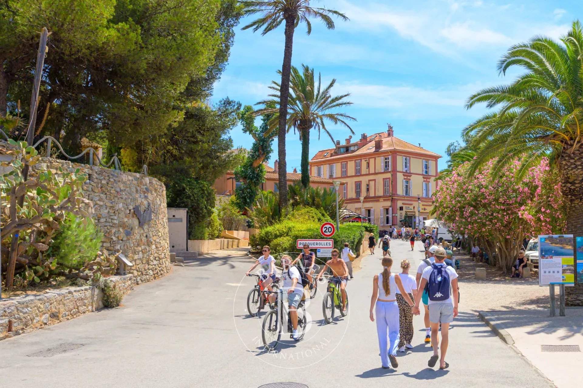 Porquerolles  - Appartement  - picture 4