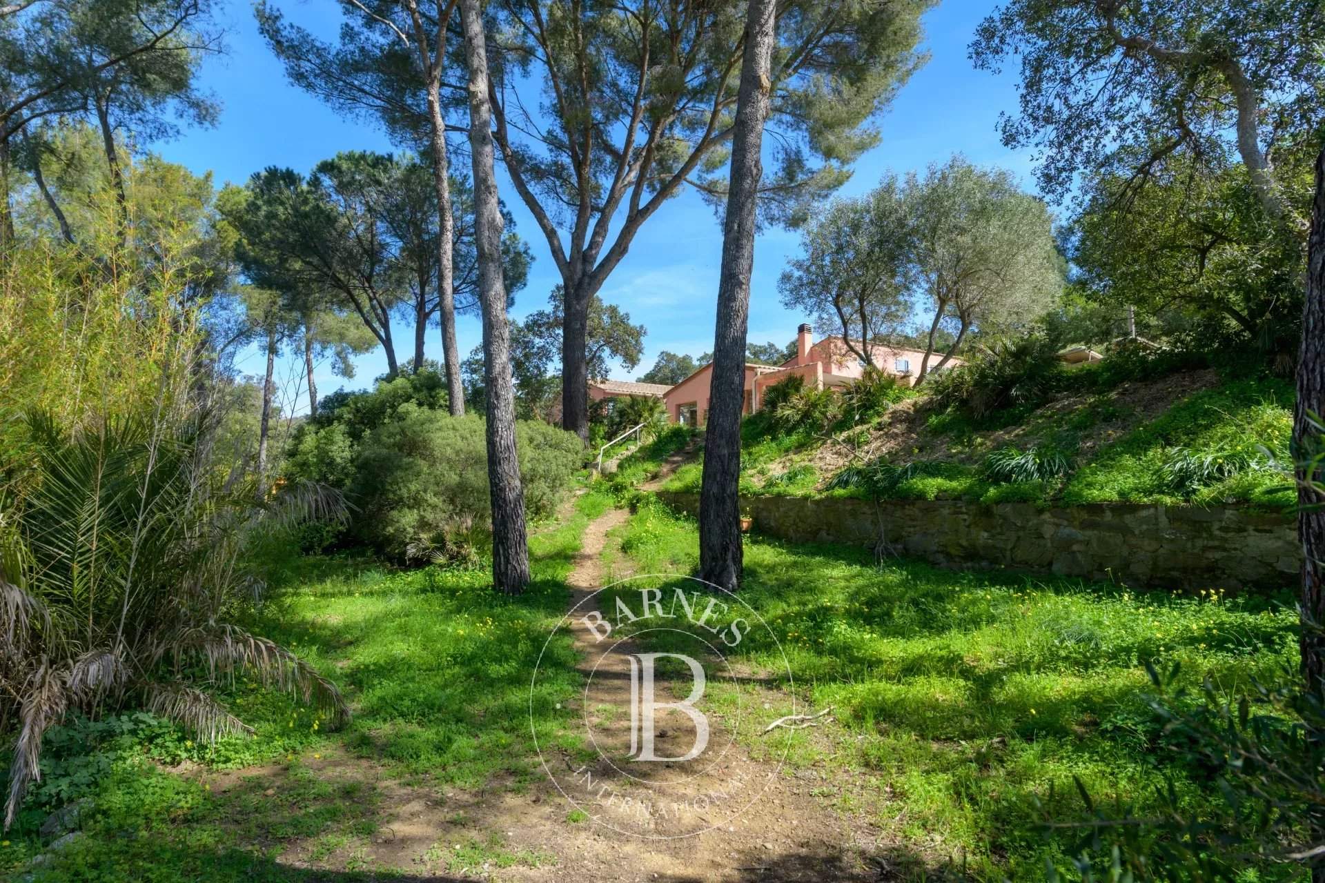 Bormes-les-Mimosas  - Villa 6 Bedrooms - picture 10