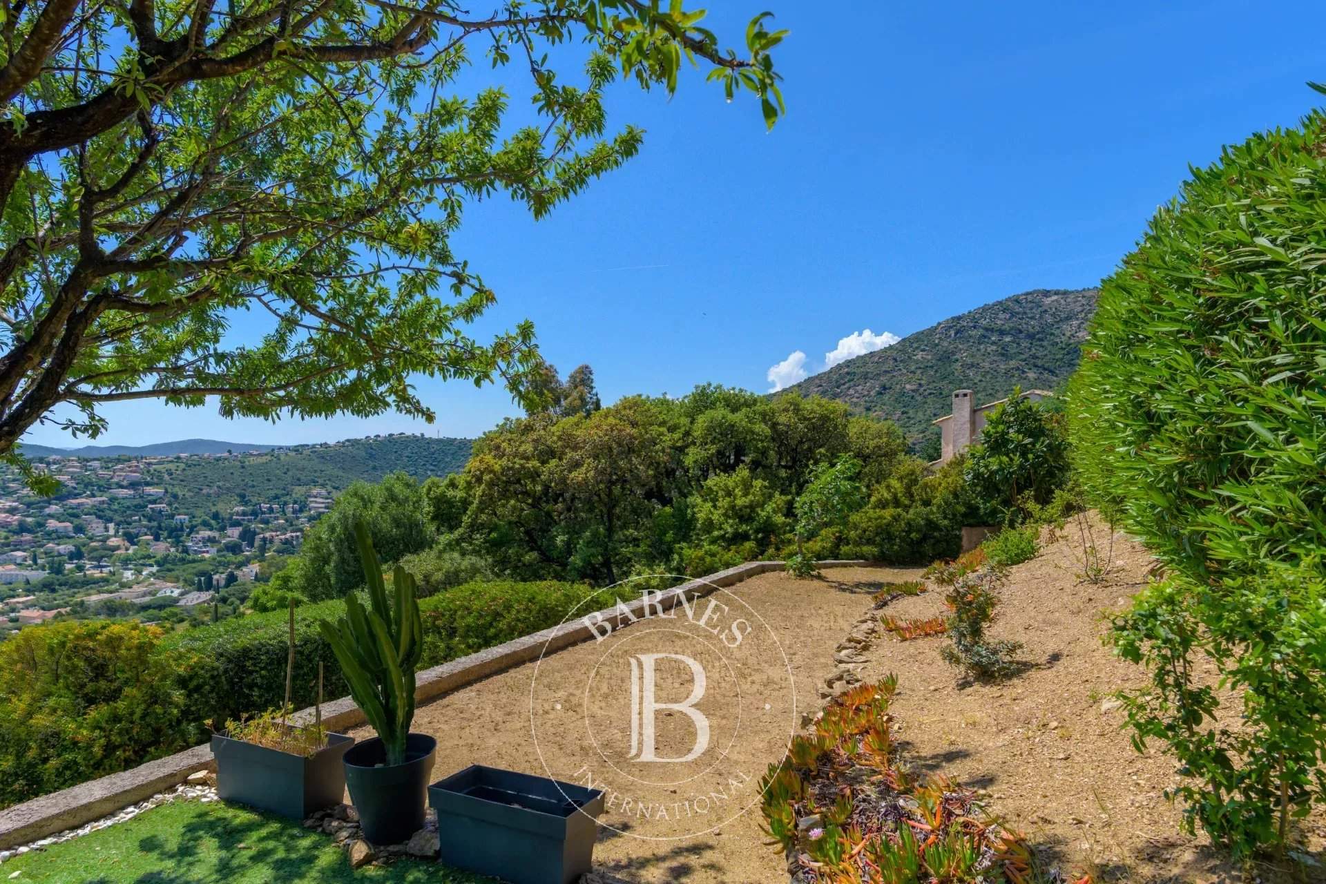 Le Lavandou  - House 3 Bedrooms - picture 11