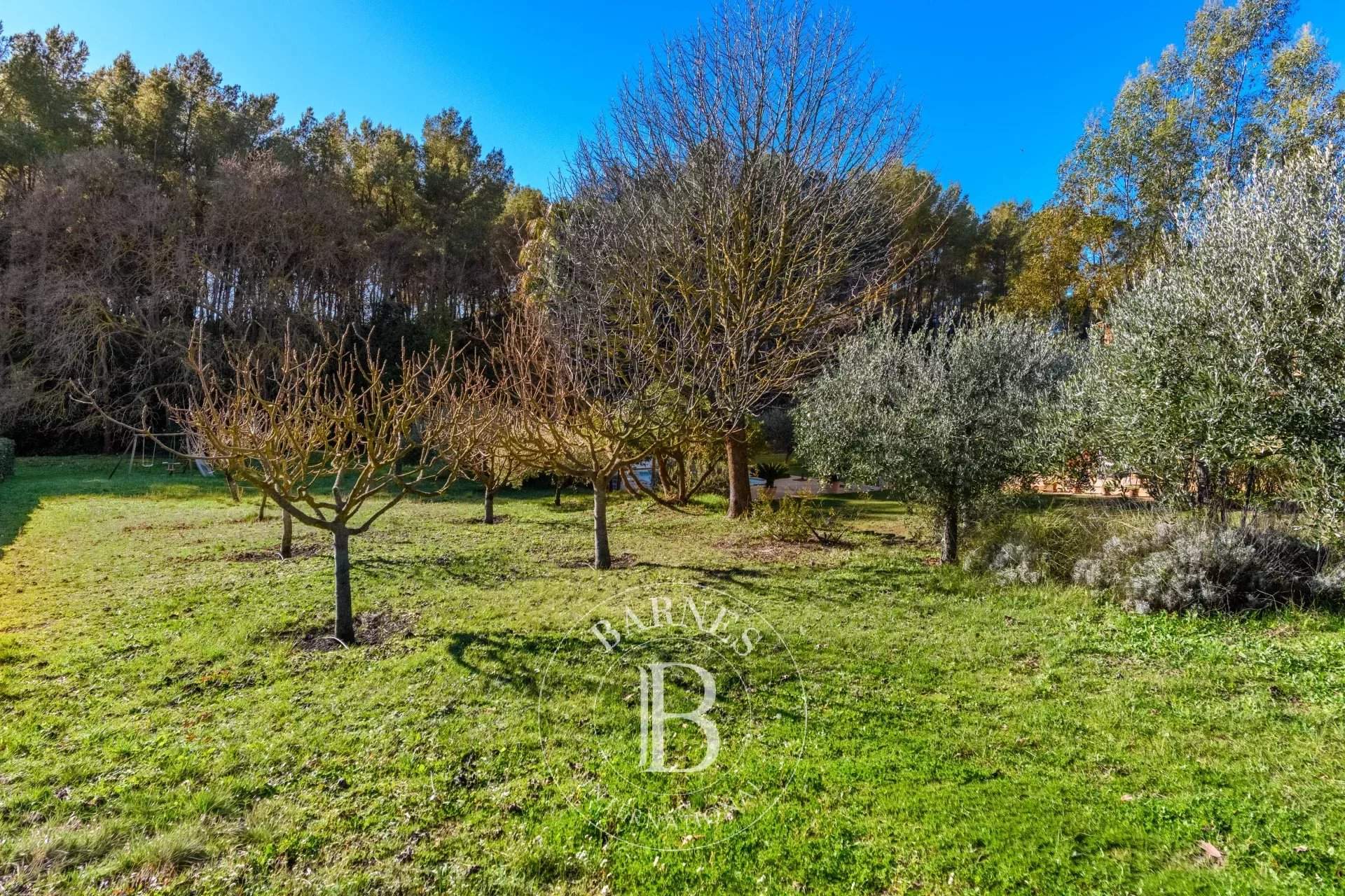 Sanary-sur-Mer  - Villa 5 Pi&egrave;ces 4 Chambres - picture 4