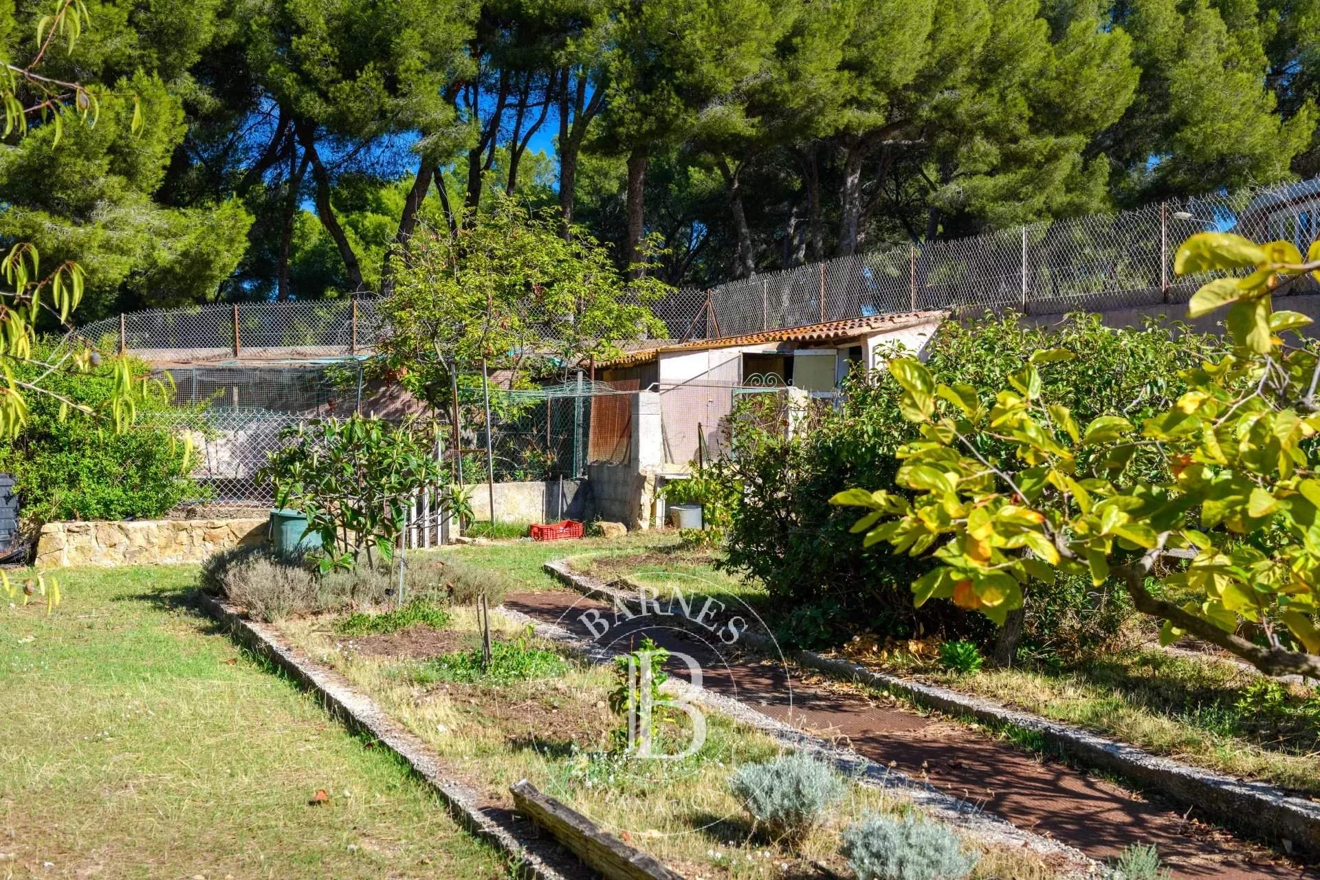 Sanary-sur-Mer  - Villa 12 Pièces 11 Chambres - picture 17