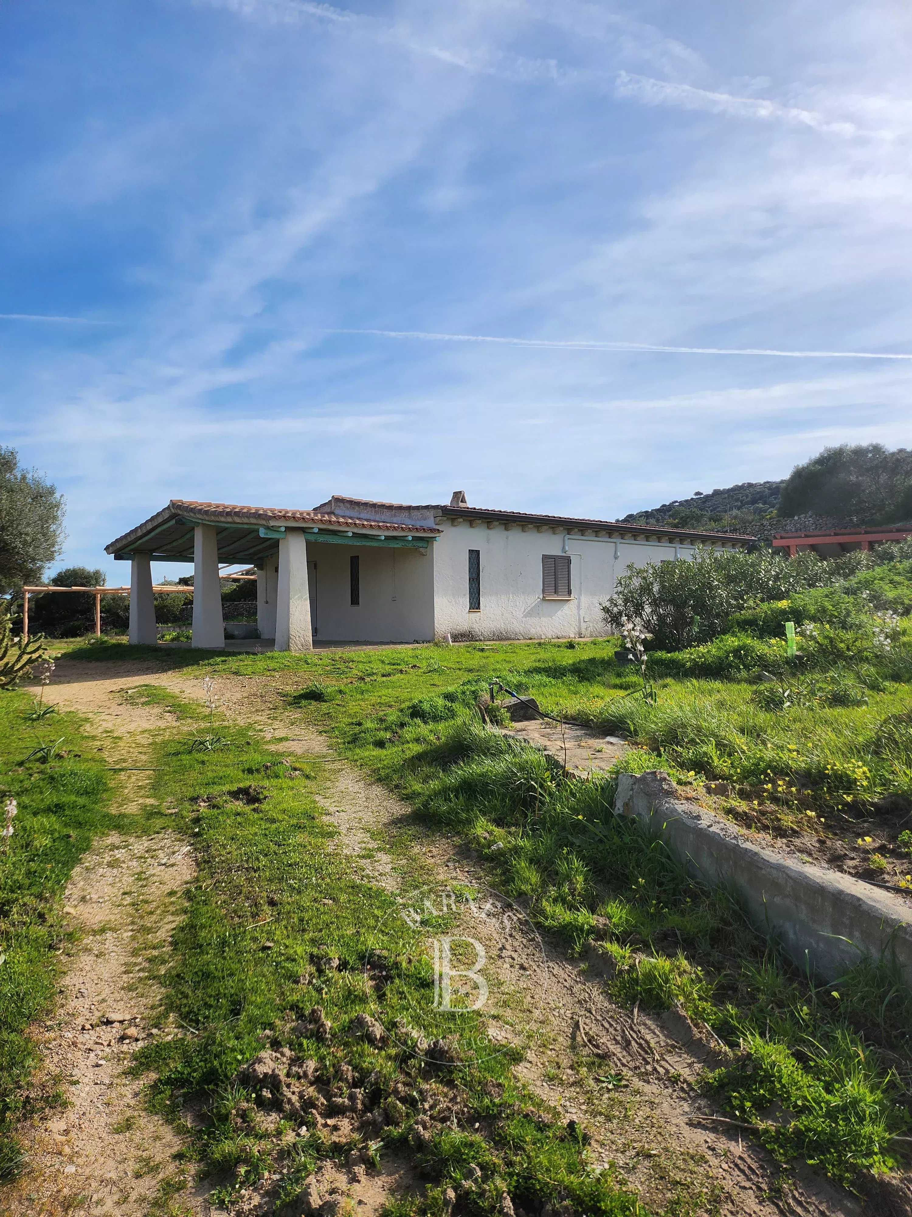 Villa Porto Cervo  -  ref 82323357 (picture 1)