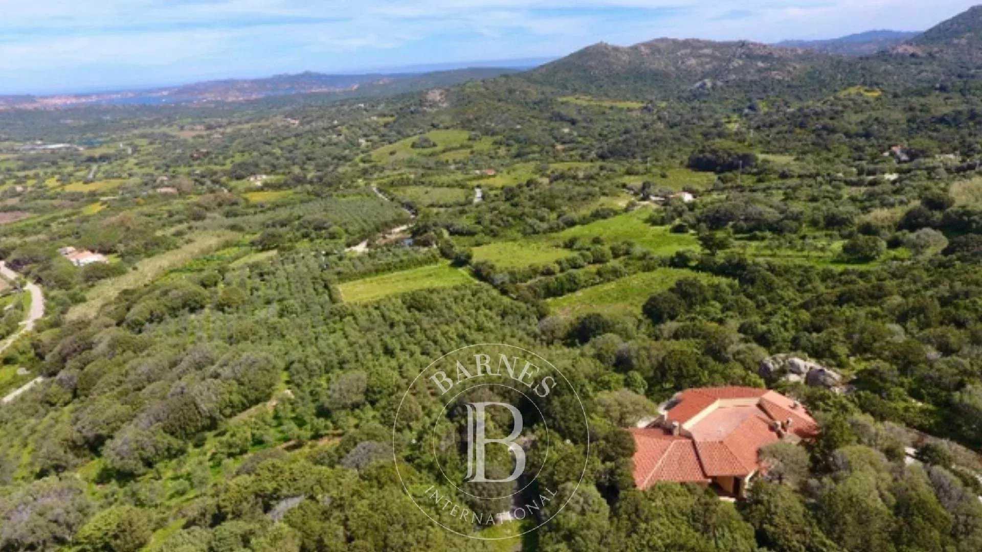 Villa Palau  -  ref 85688355 (picture 1)