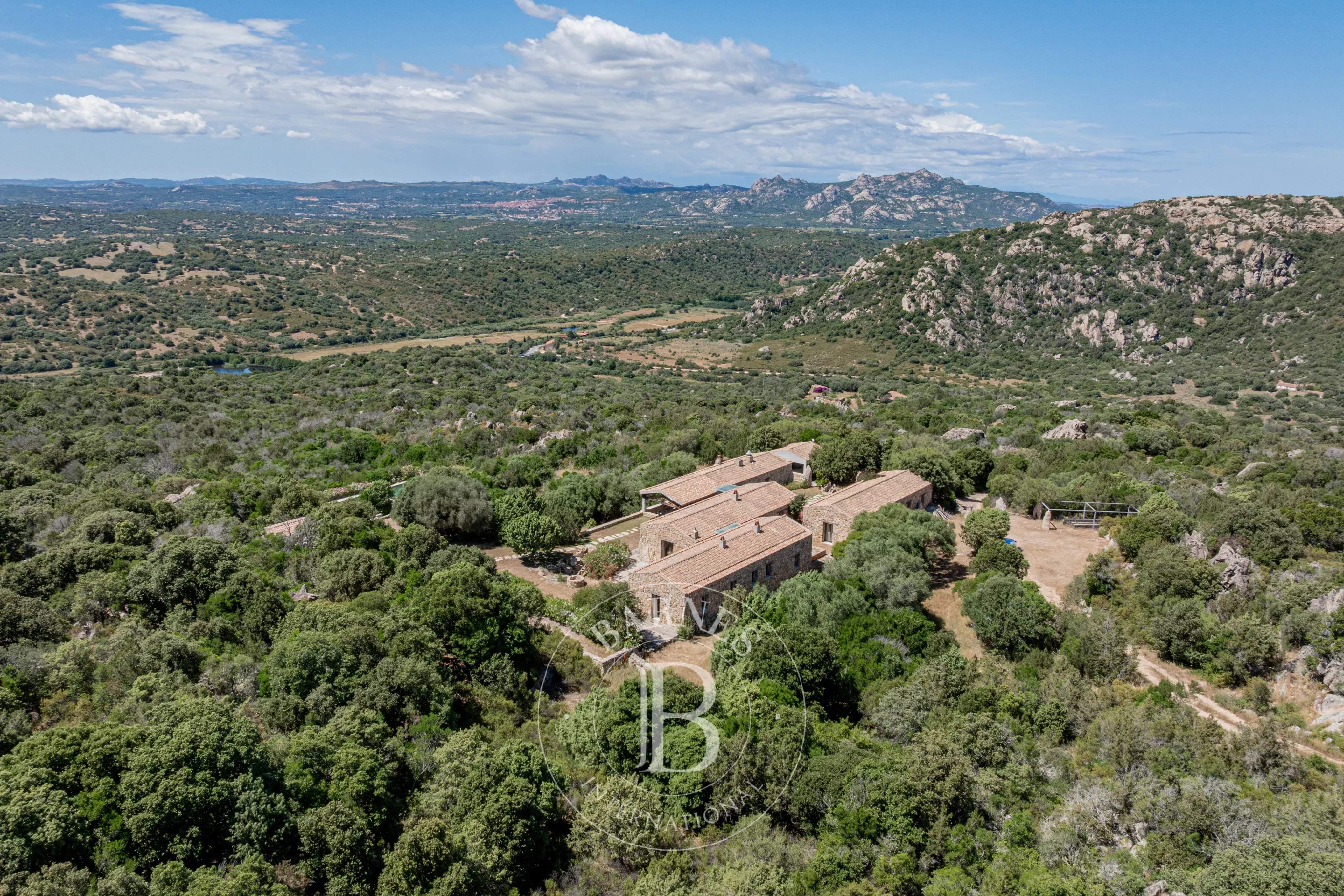 San Pantaleo  - Villa 16 Bedrooms - picture 8