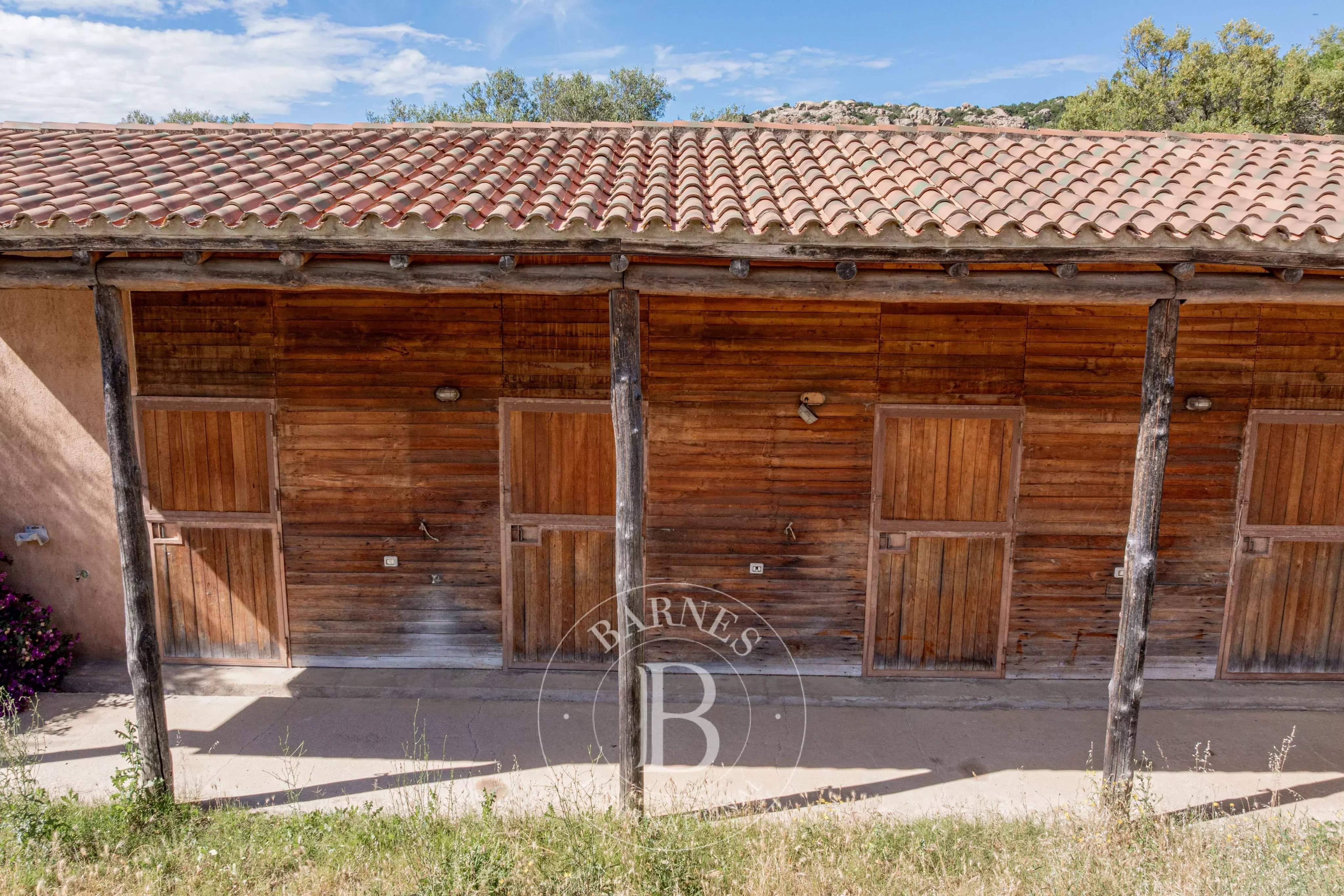 San Pantaleo  - Villa 16 Bedrooms - picture 15