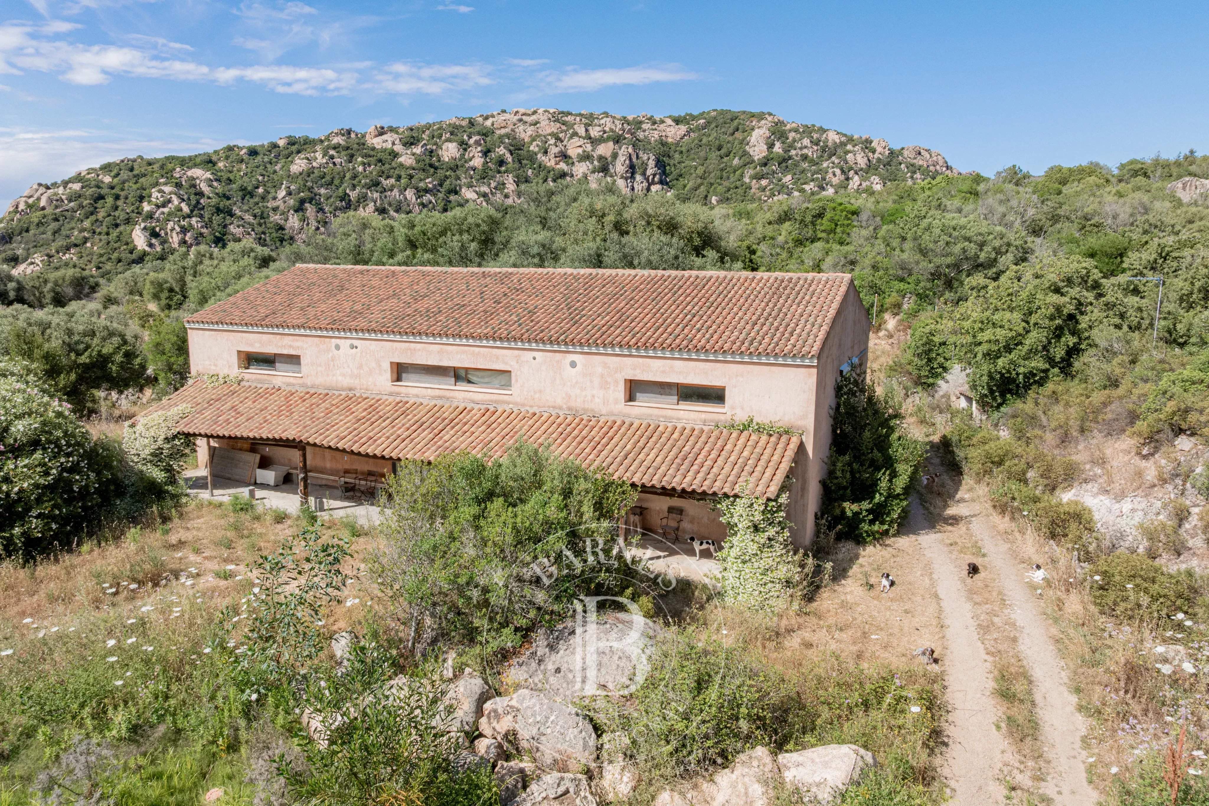 San Pantaleo  - Villa 16 Bedrooms - picture 13
