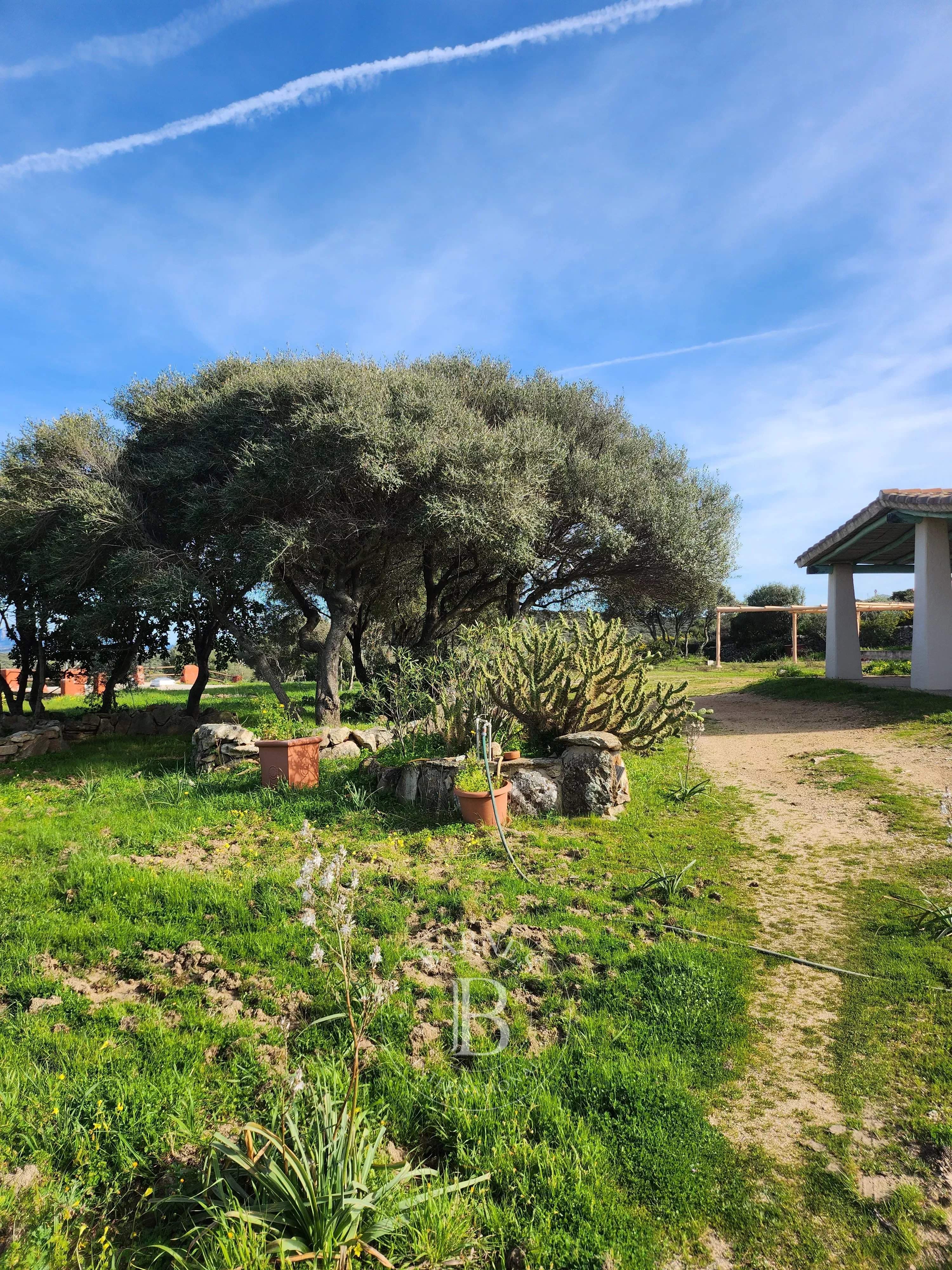 Porto Cervo  - Villa 4 Bedrooms - picture 7