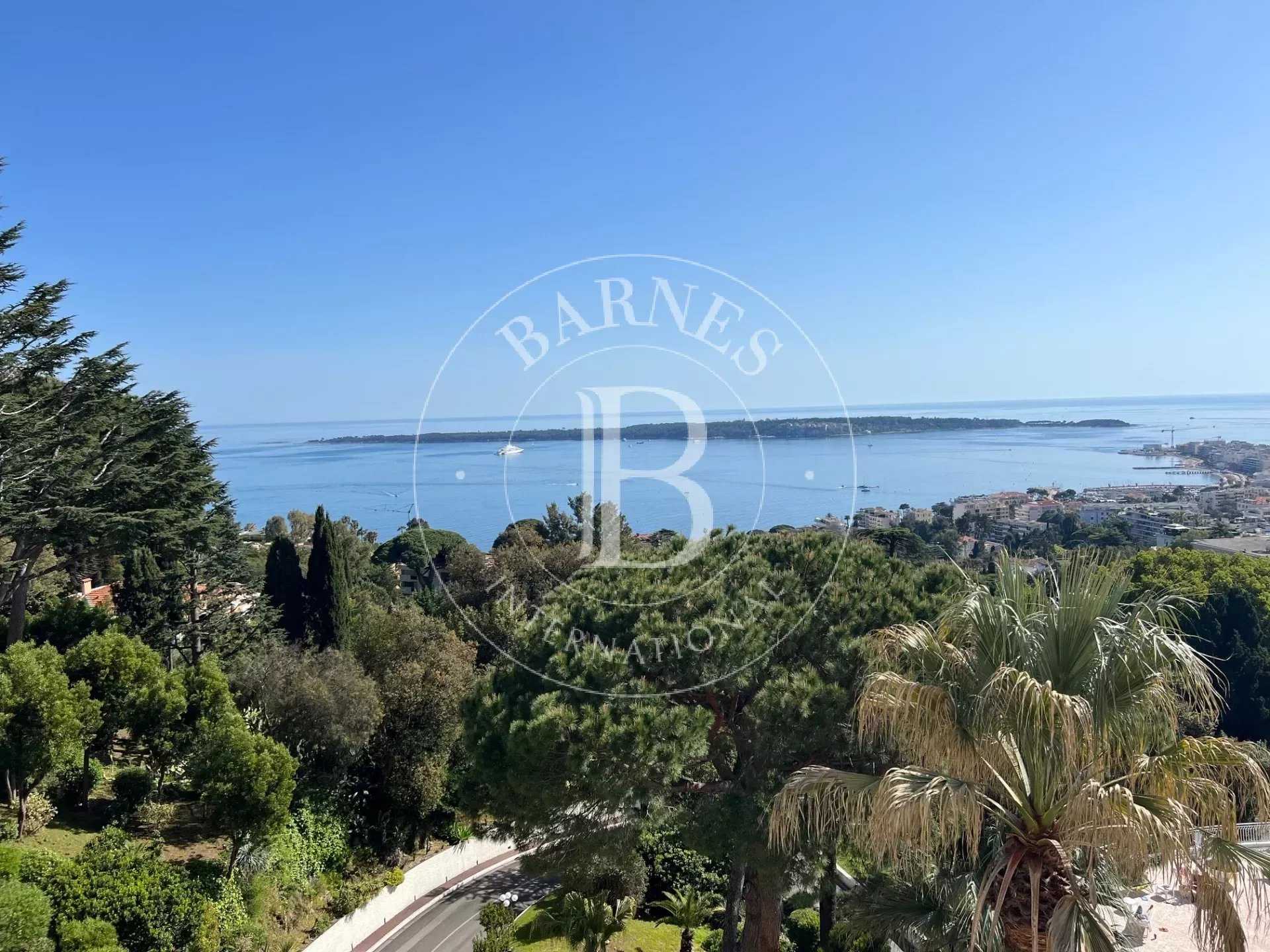 CANNES CALIFORNIE - APARTMENT WITH SPLENDID PANORAMIC SEA VIEW - 2 CHAMBRES picture 9