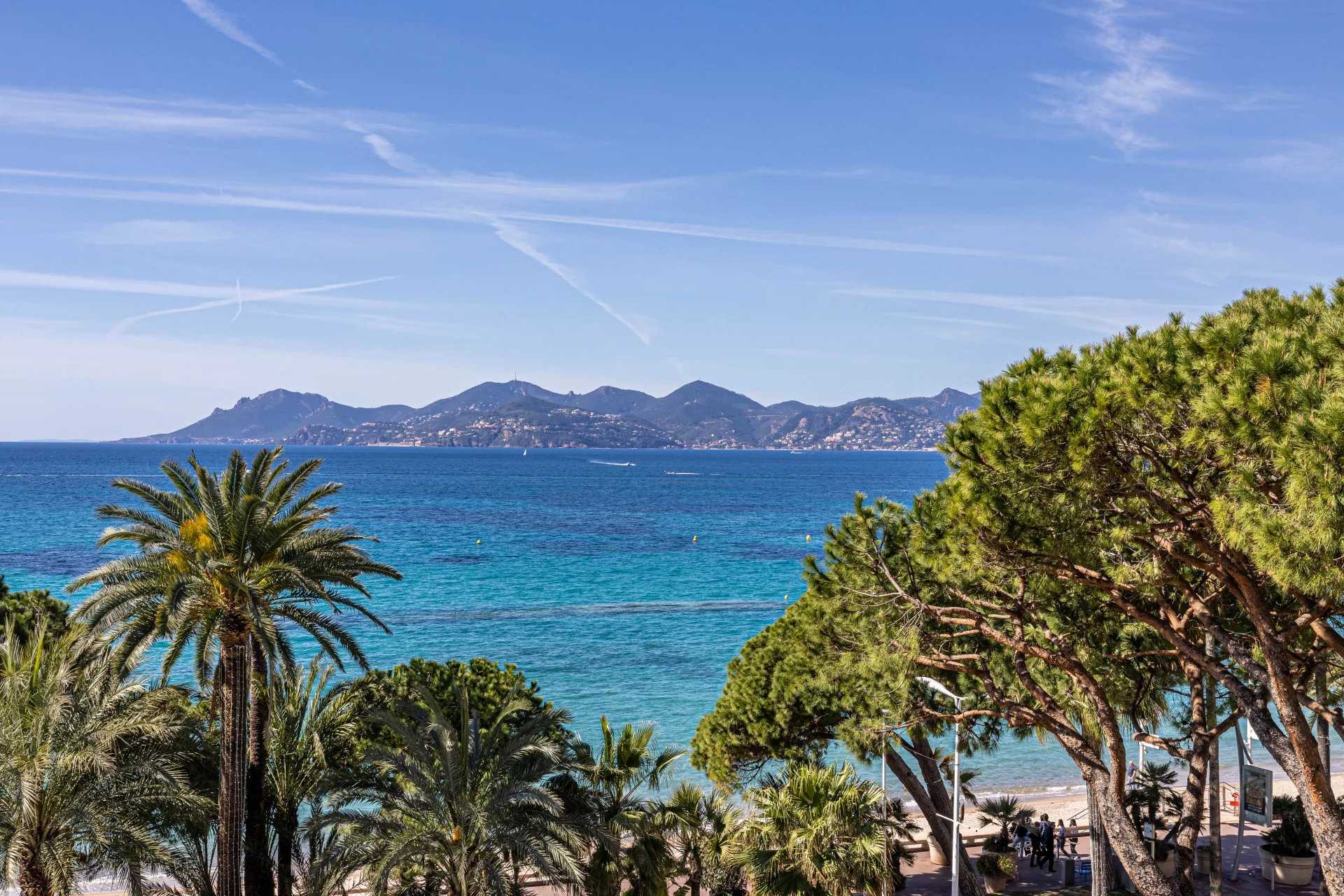 Cannes  - Apartment 2 Bedrooms