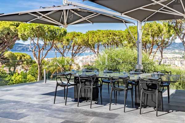 Villa Cannes  -  ref 5752121 (picture 2)