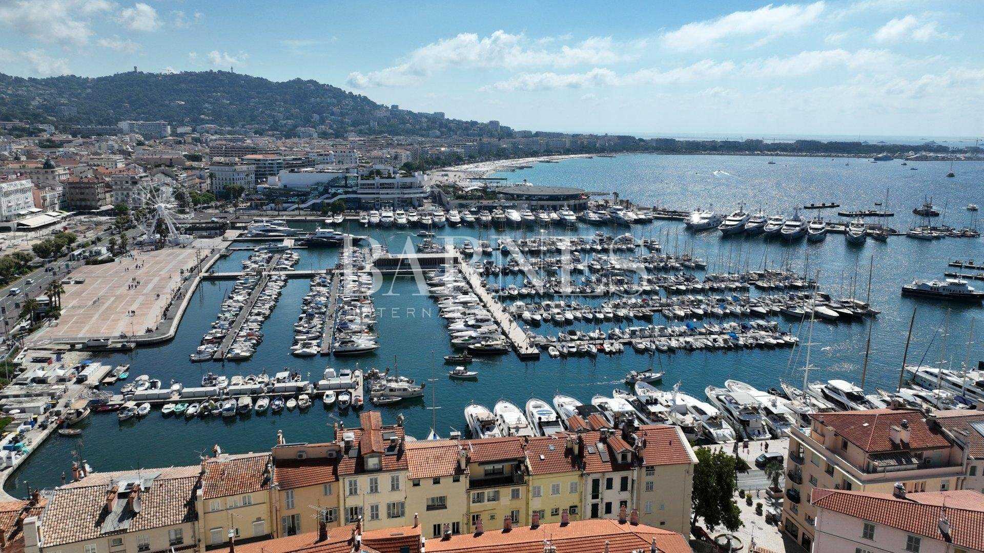 Maison Cannes  -  ref 2216594 (picture 2)