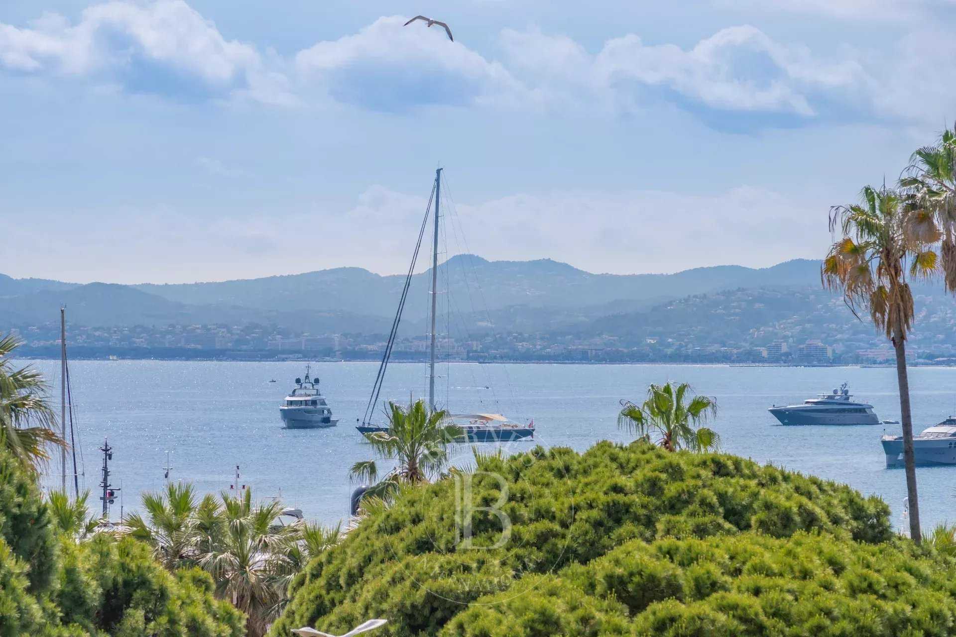 Appartement Cannes  -  ref 85930219 (picture 1)