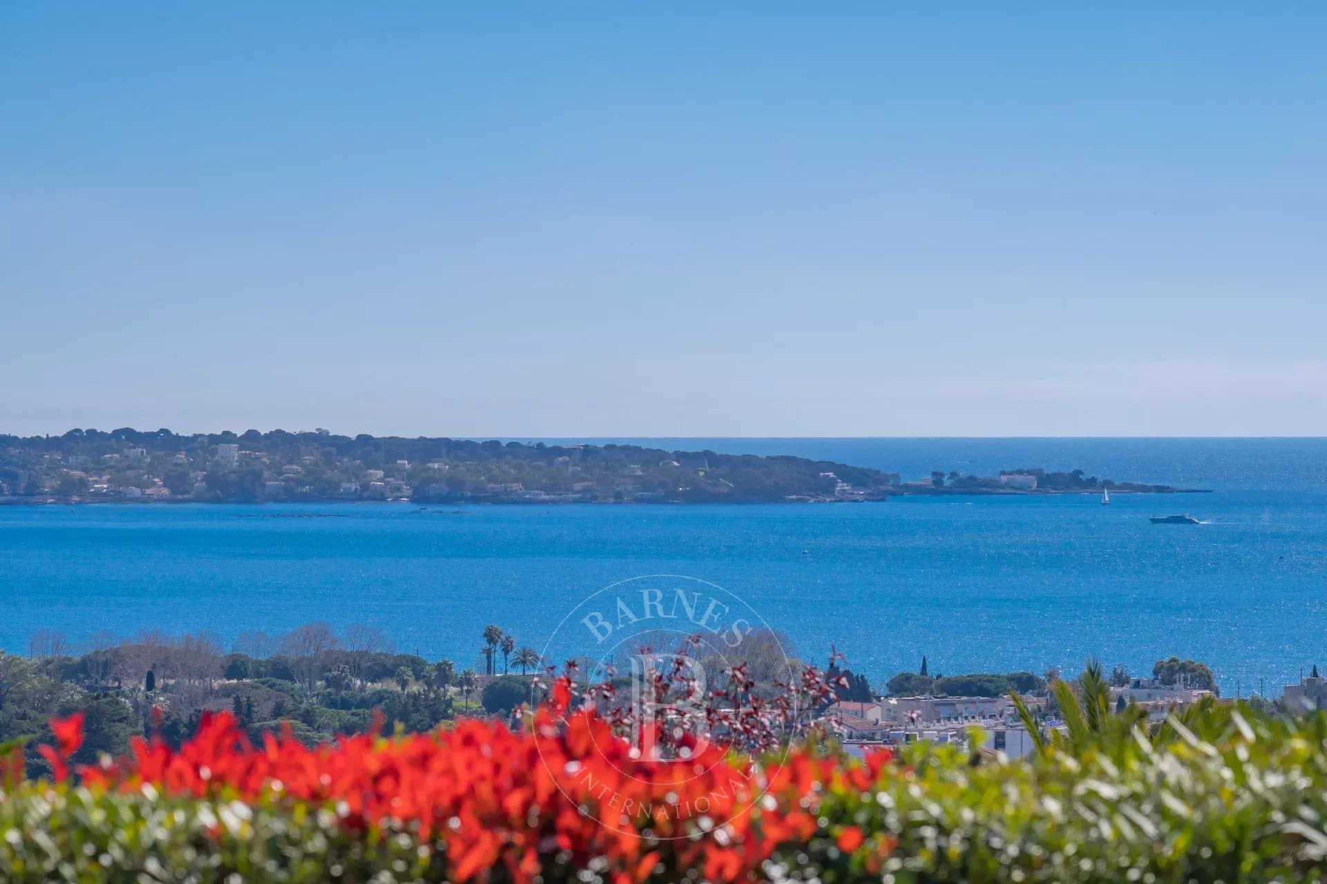 Villa Golfe-Juan  -  ref 85533679 (picture 3)