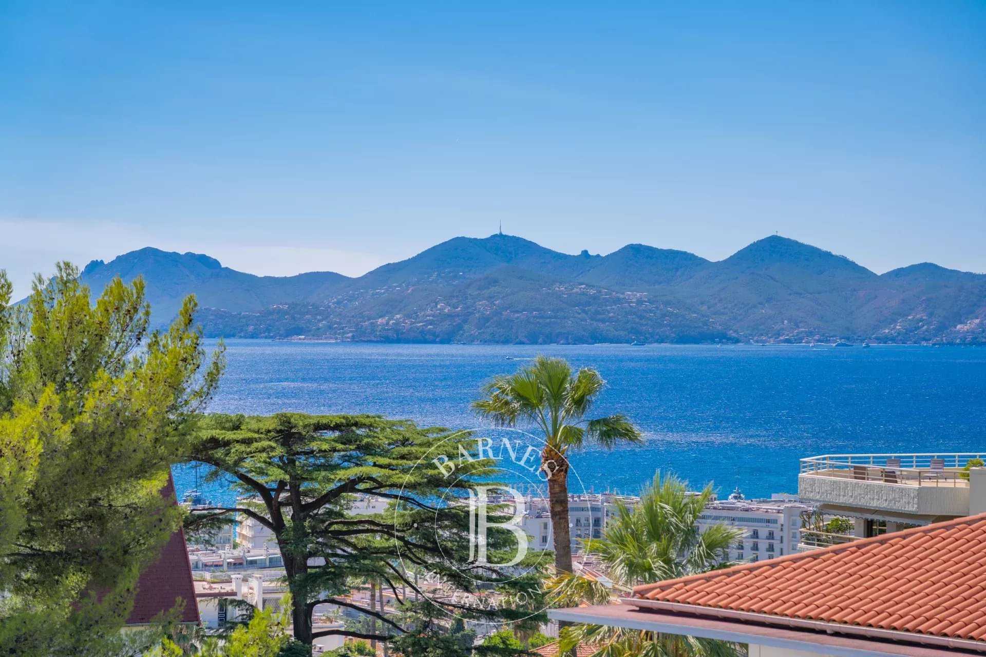 Villa Cannes  -  ref 86040094 (picture 2)