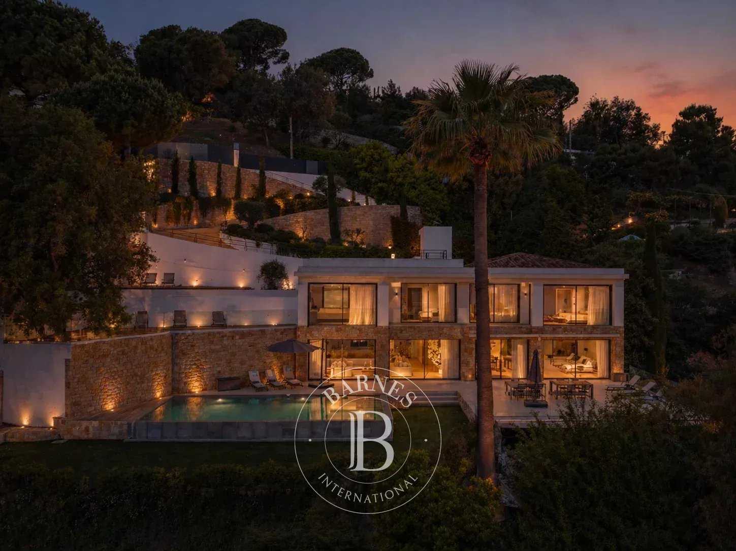 Villa Cannes  -  ref 85340100 (picture 3)