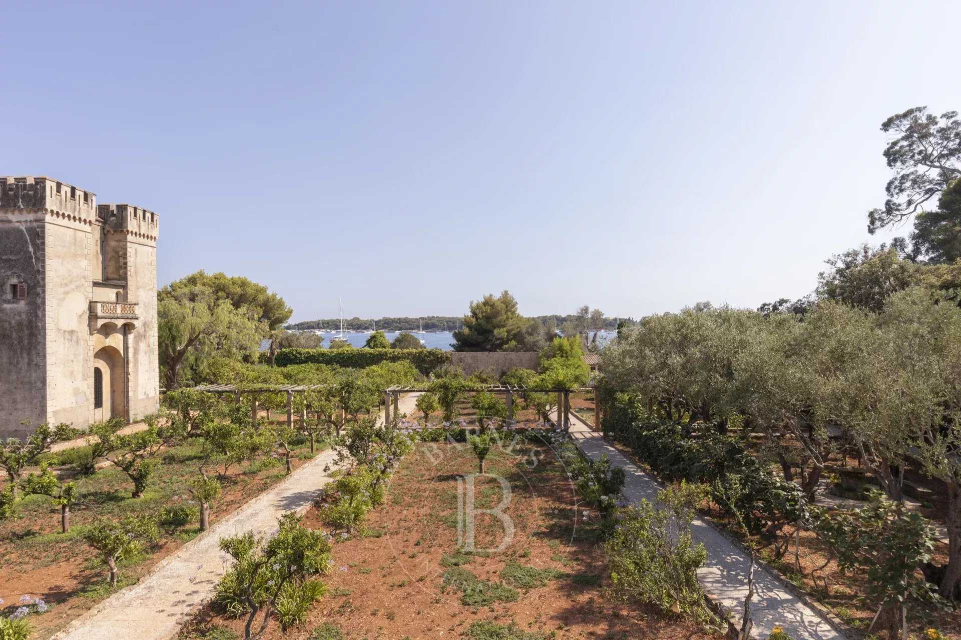 Villa Cannes  -  ref 8085945 (picture 3)