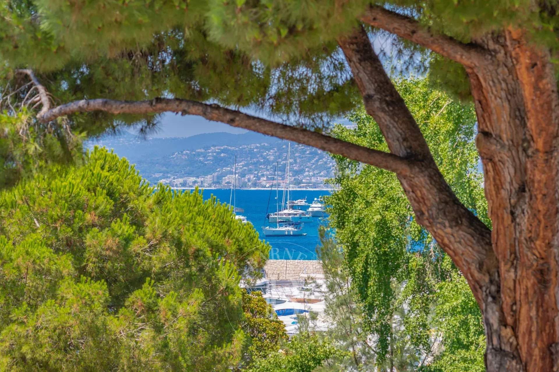 Cannes  - Apartment 2 Bedrooms - picture 12