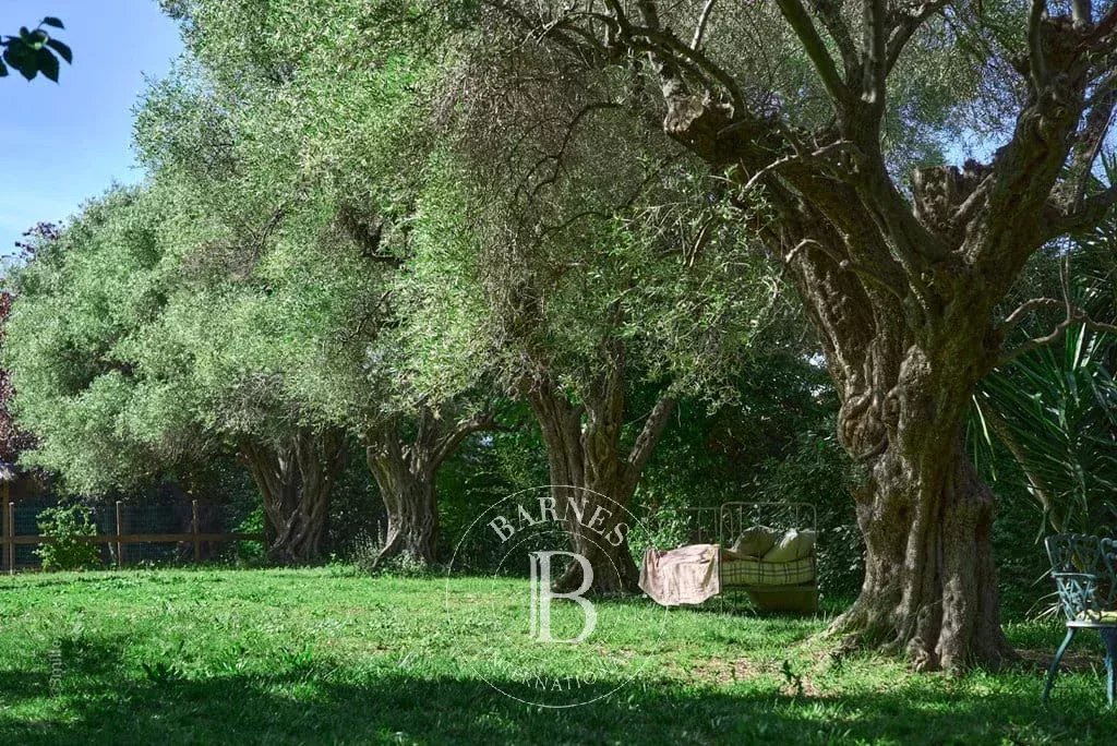 Antibes  - Villa 5 Bedrooms - picture 14