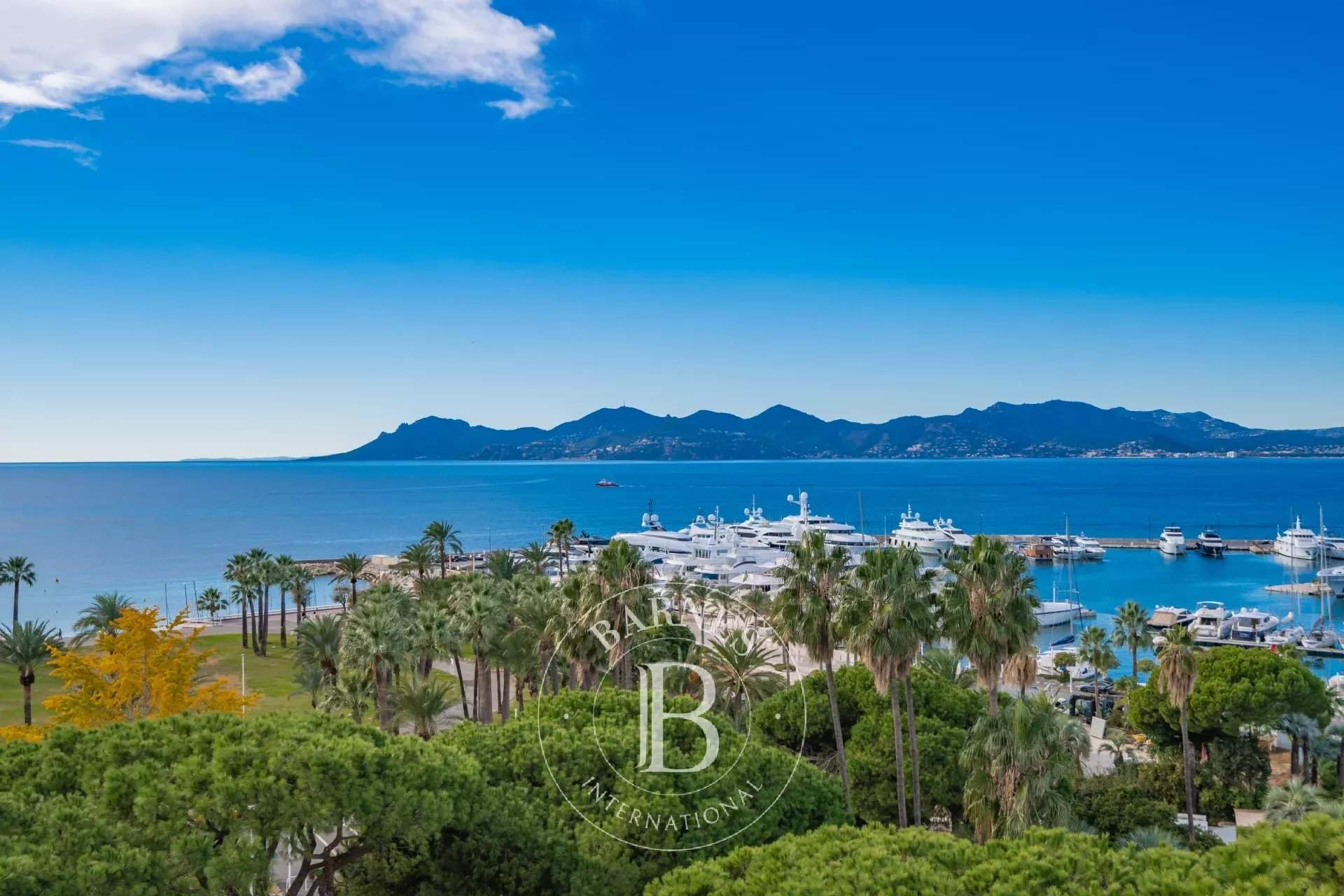 Cannes  - Apartment 3 Bedrooms - picture 19