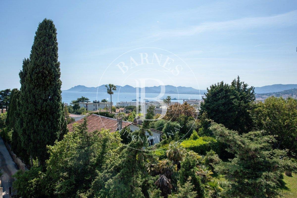 Cannes  - Villa  7 Habitaciones - picture 3