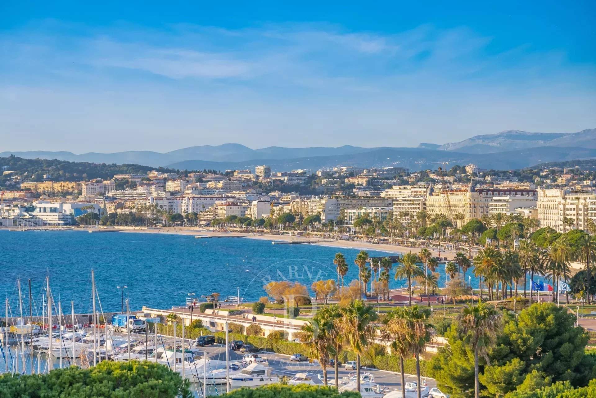Cannes  - Apartment 3 Bedrooms - picture 3